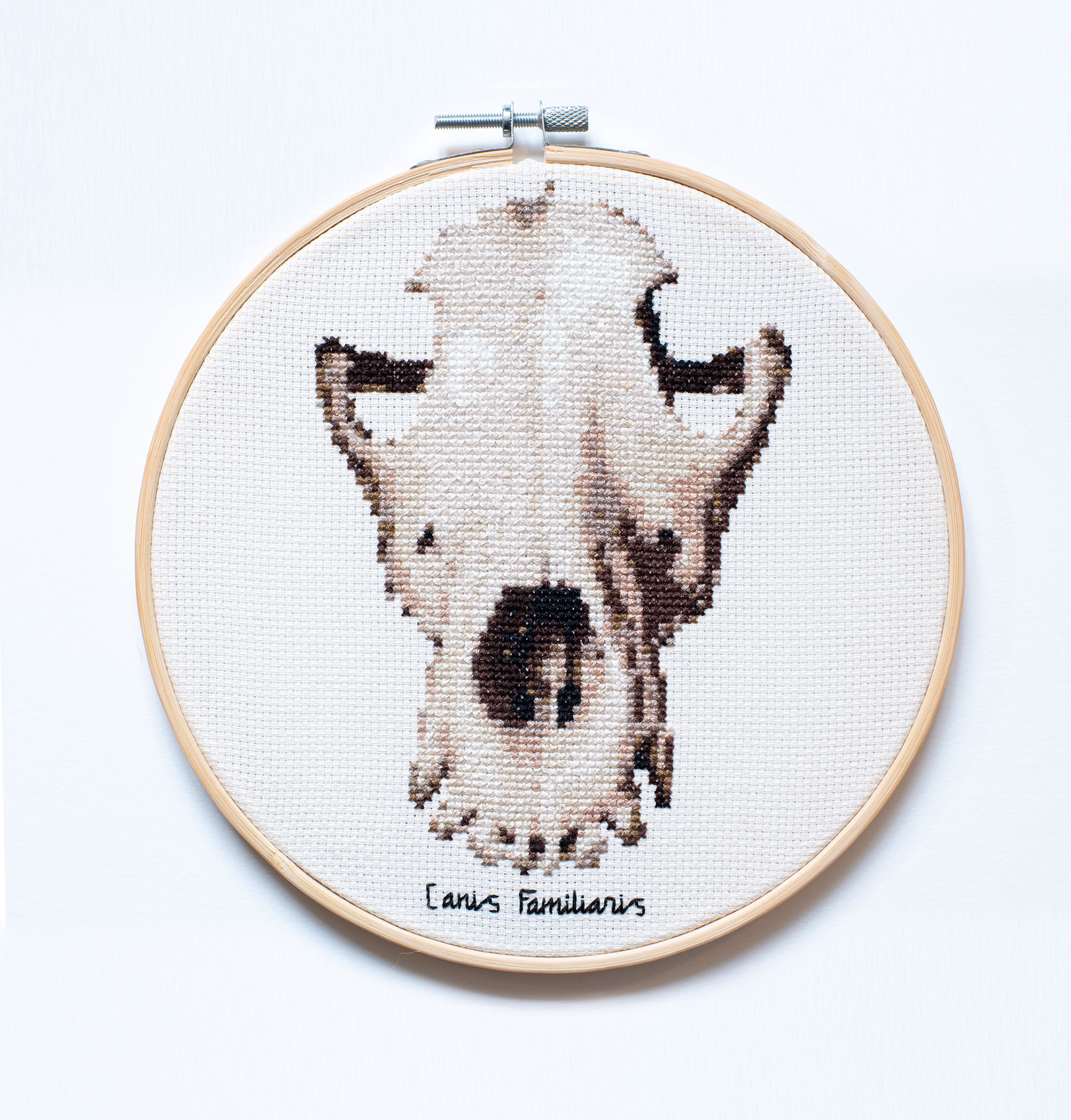 Dog skull embroidery, 2022
