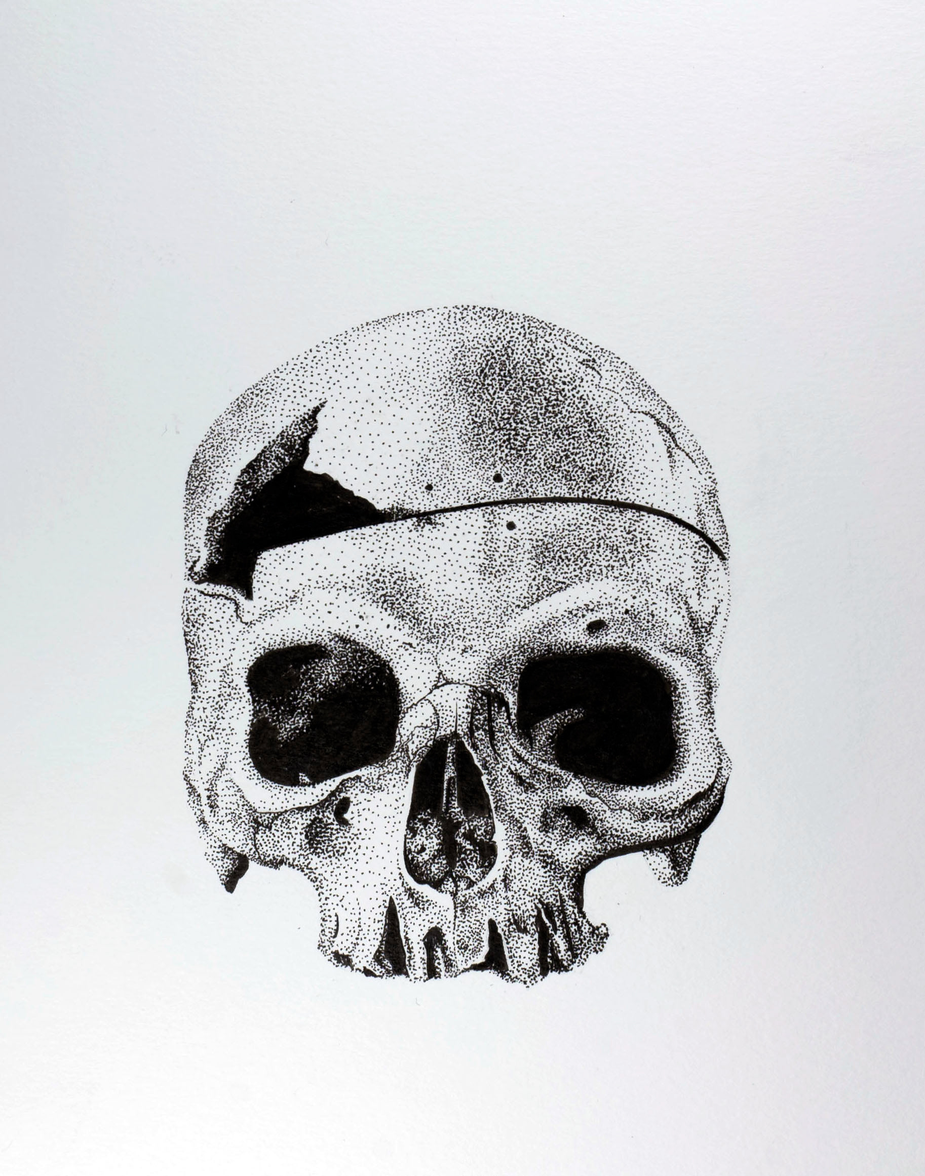 Skull, 2016