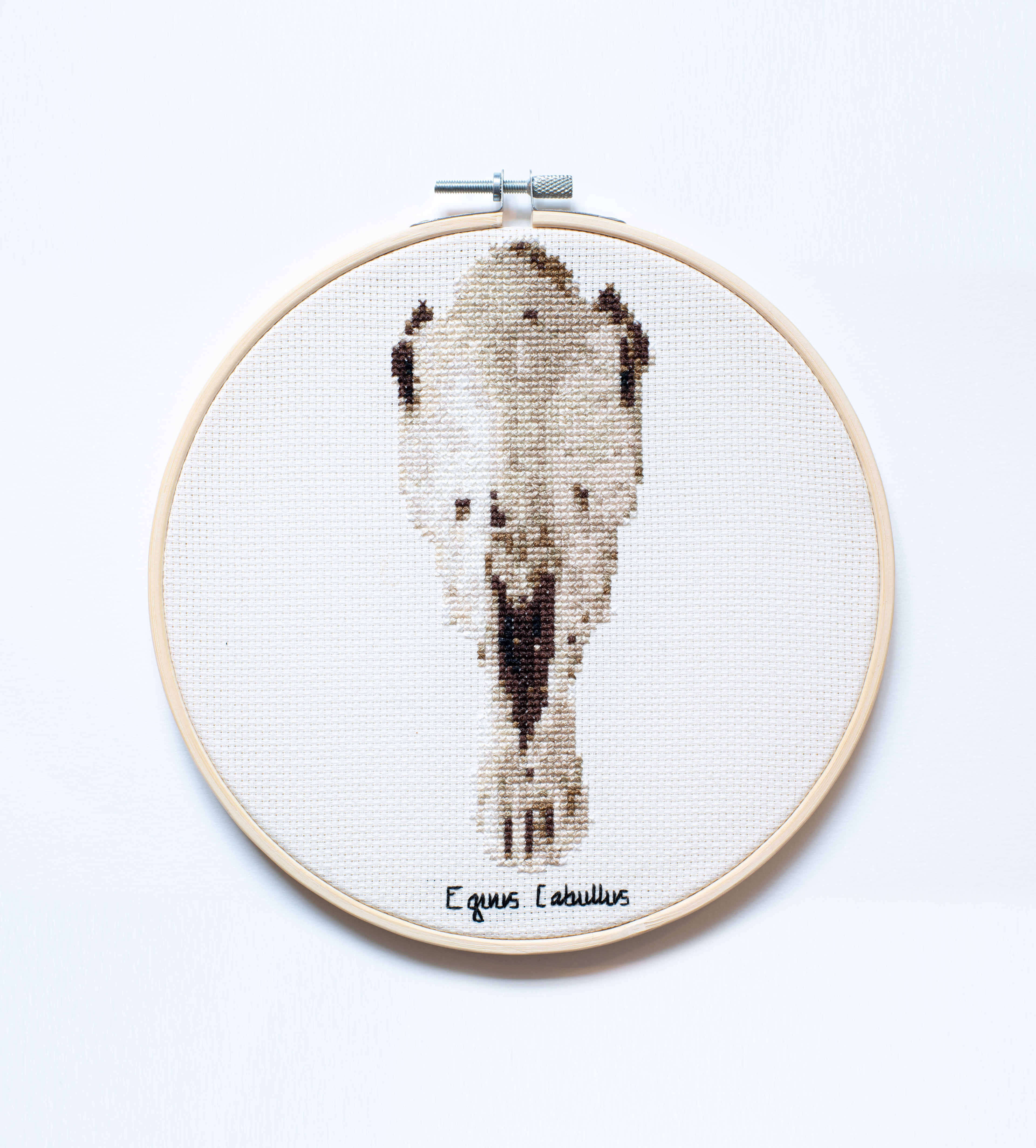 Horse skull embroidery, 2022