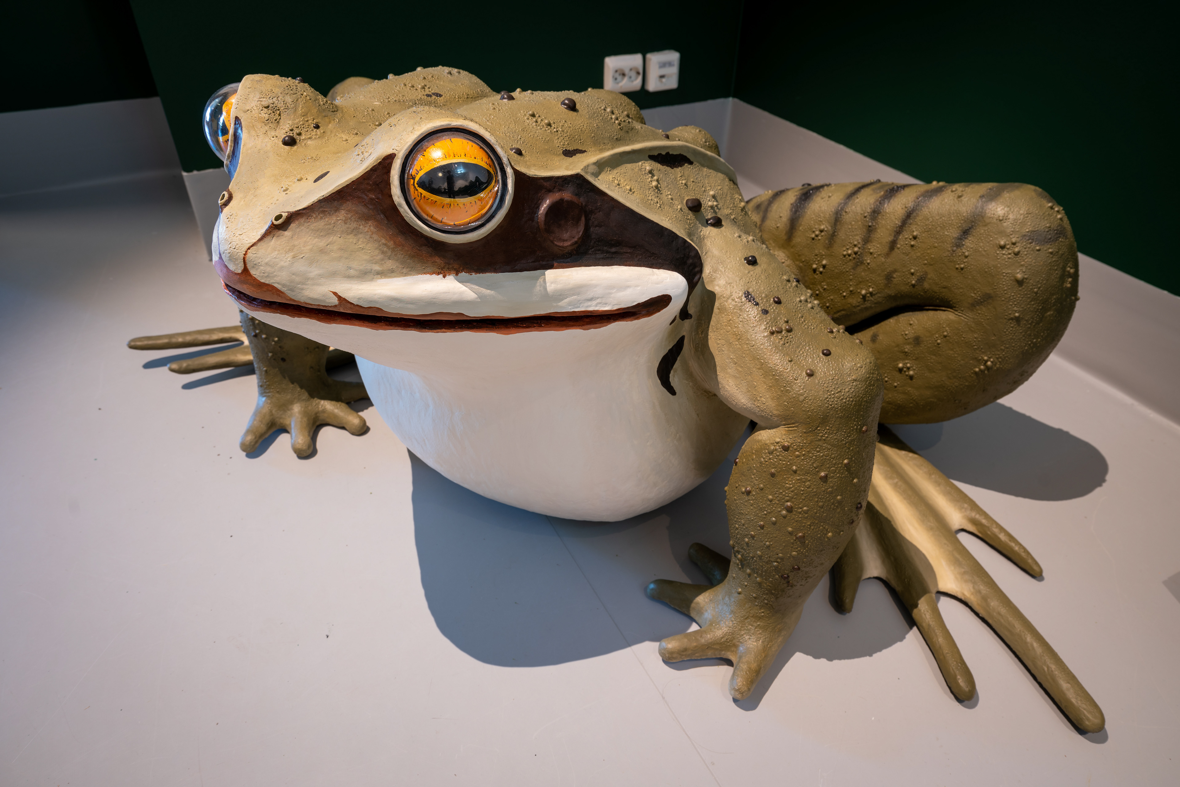 Large scale frog sculpture