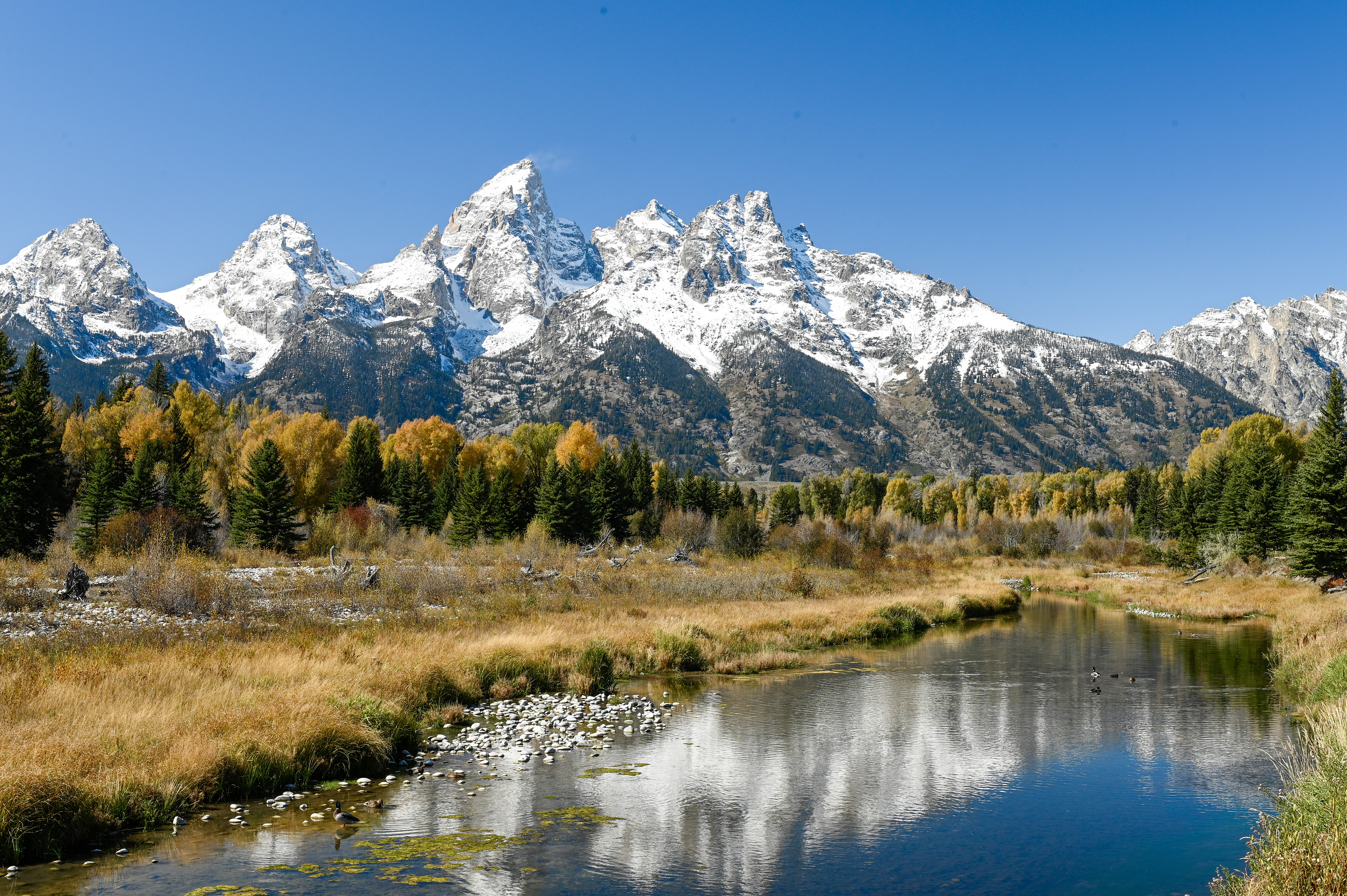 Schwabacher’s Landing