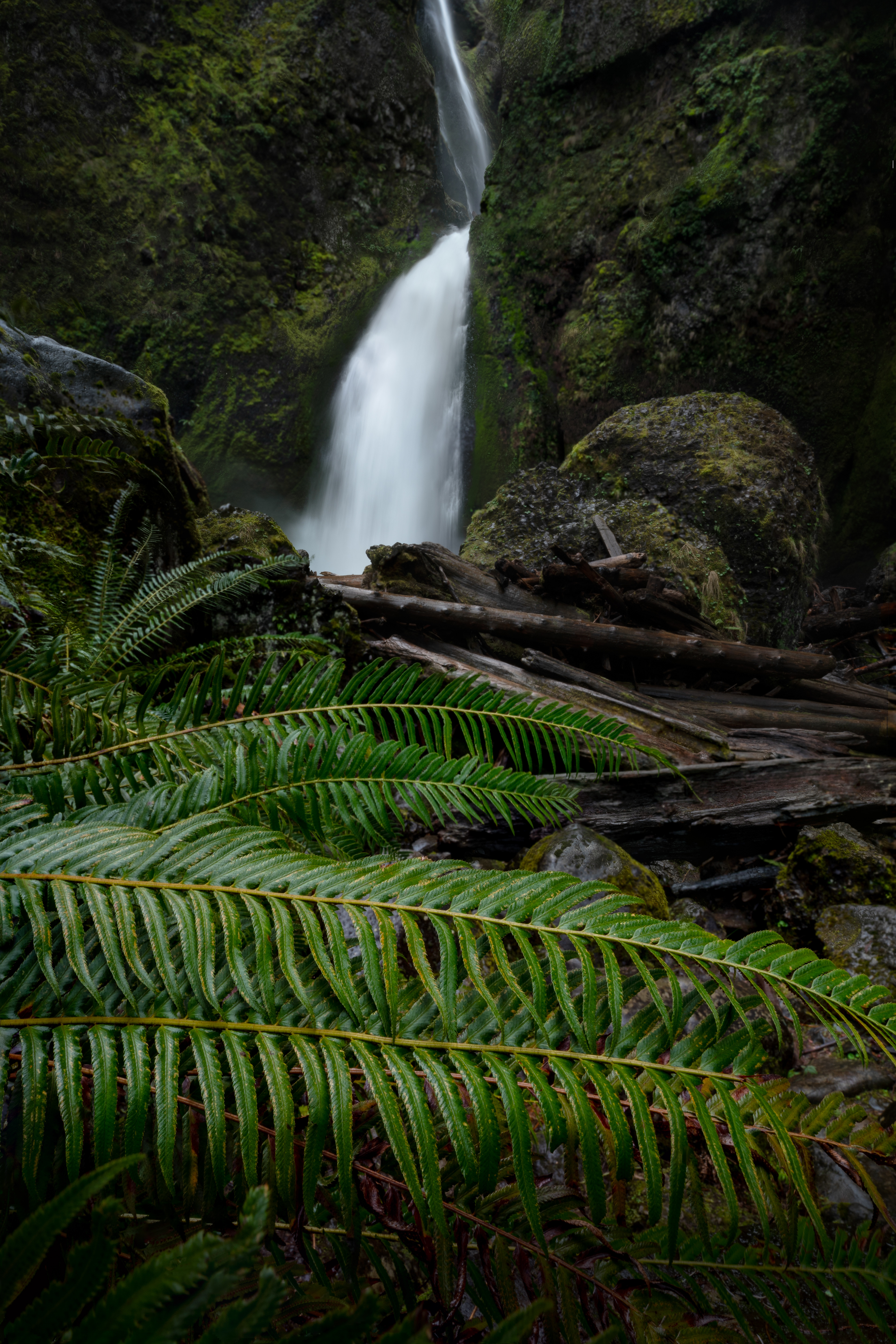 Wahclella Falls