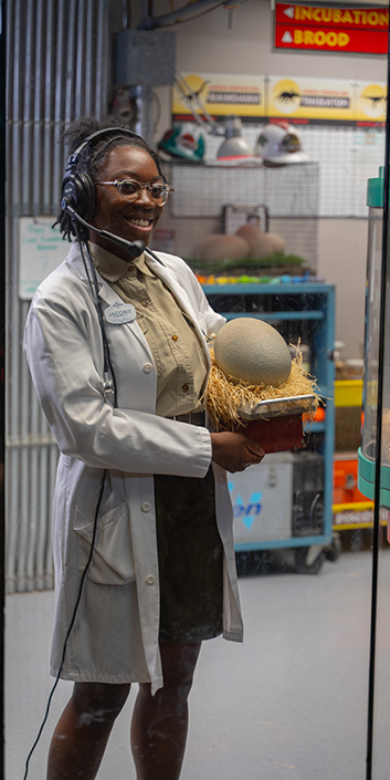 Photo by Jonathan Edewaard, Edits by Tarra Dunlop