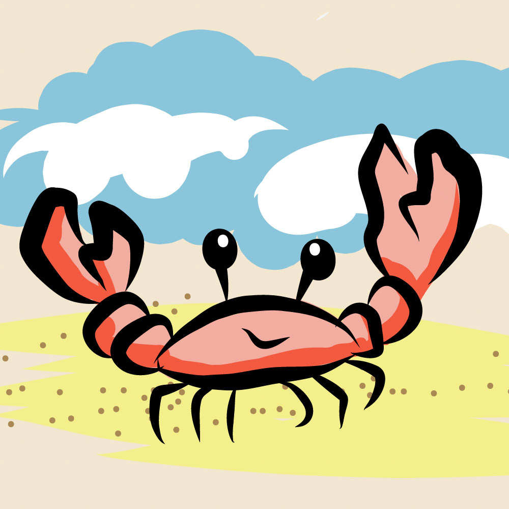 SUMMER SEASON