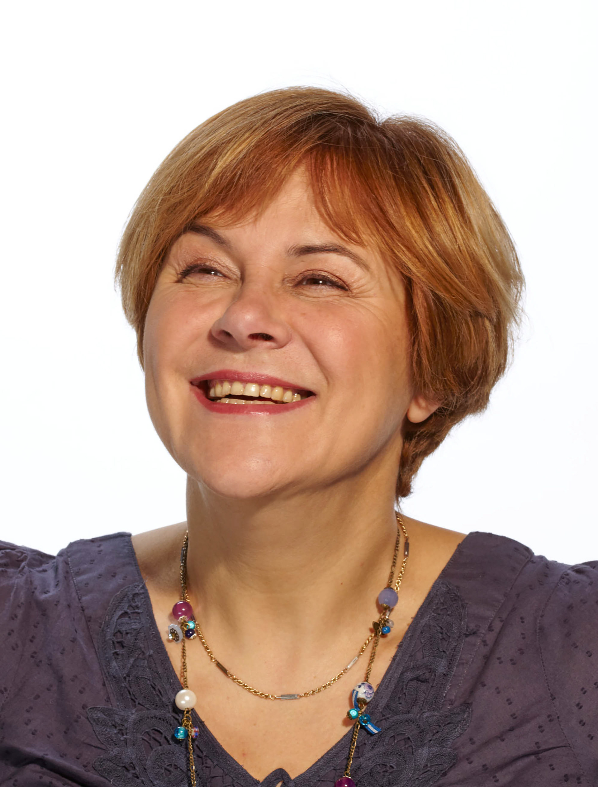 Montreuil, Cantonales 2011, Dominique Voynet