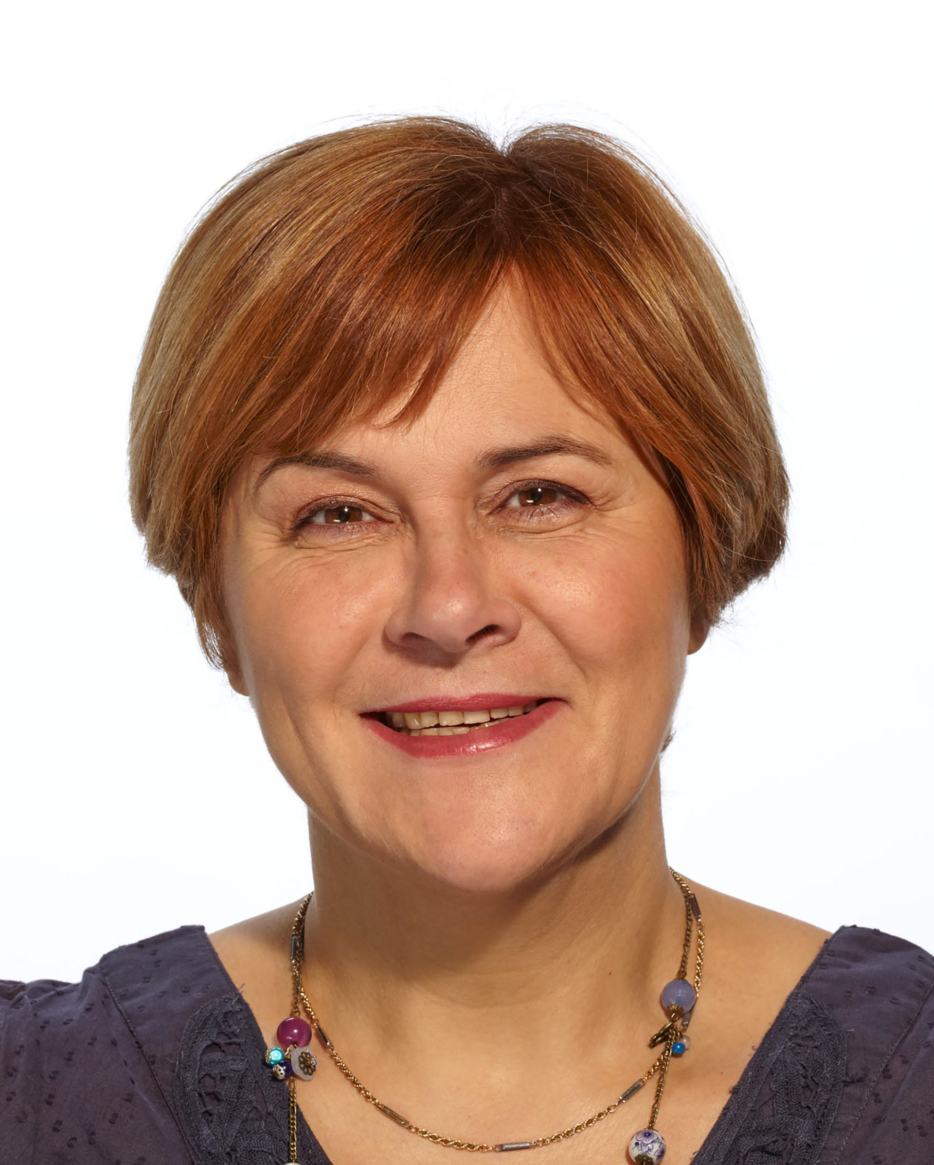 Montreuil, Cantonales 2011, Dominique Voynet