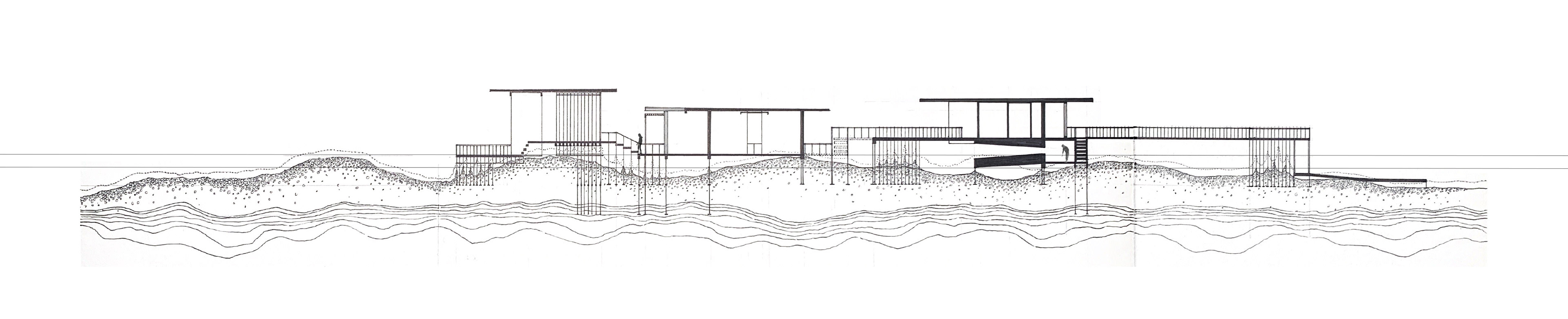 "Jogged" Longitudinal Section - Process