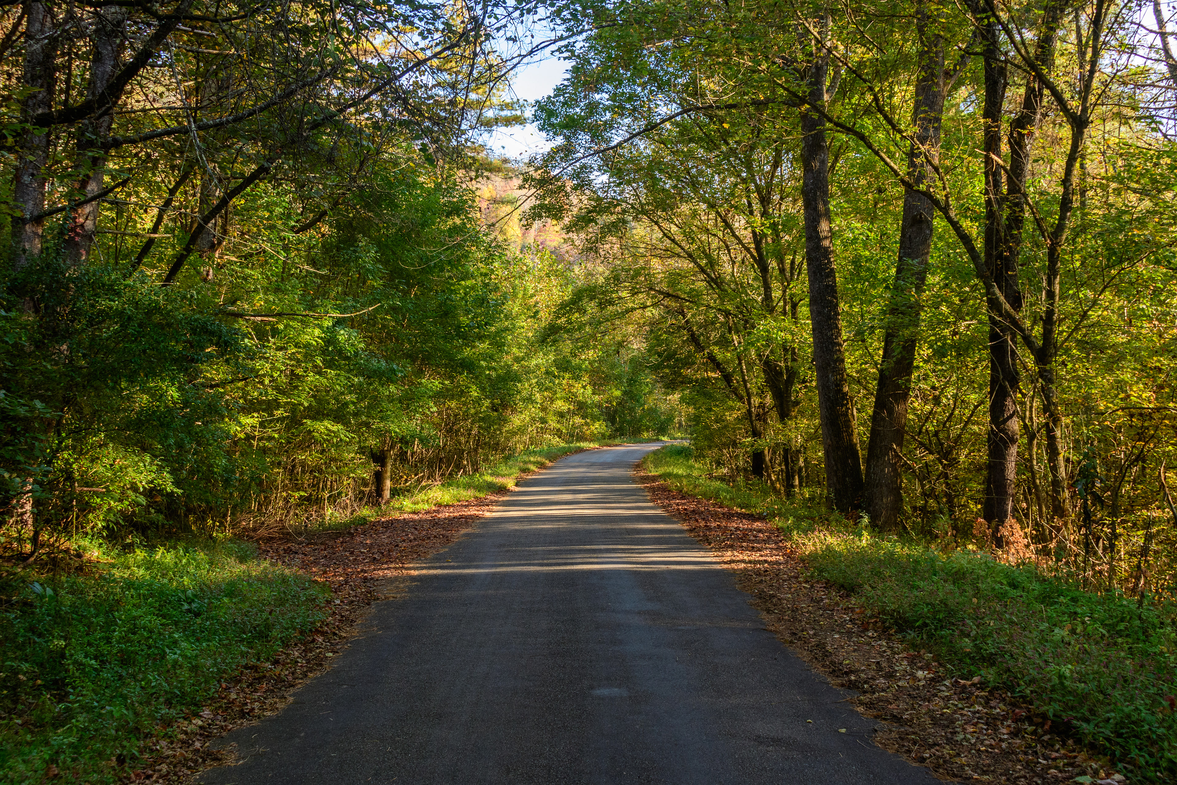 Sink Mountain Boat Launch Road, TN - 2020