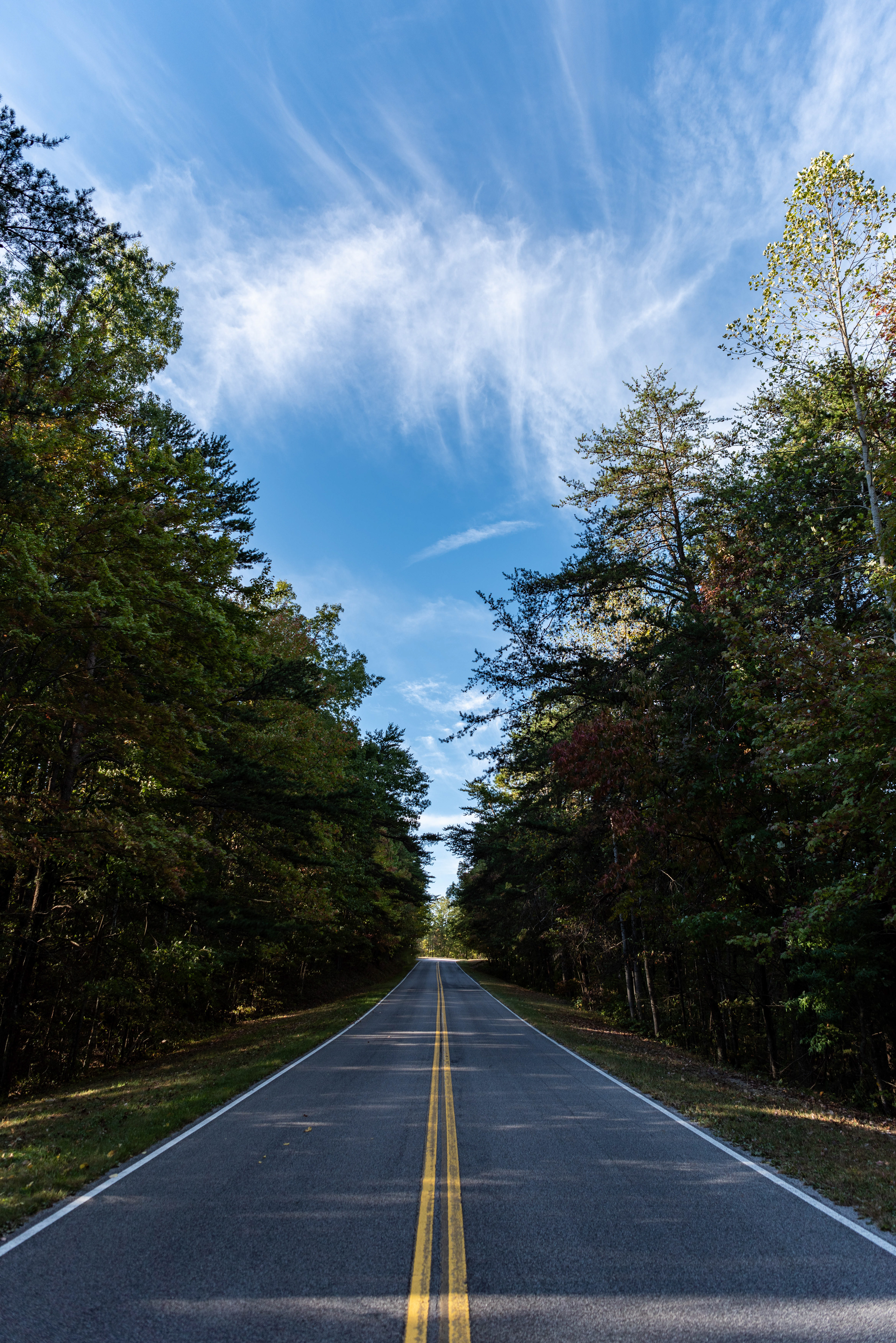 Foothills Parkway - 2019