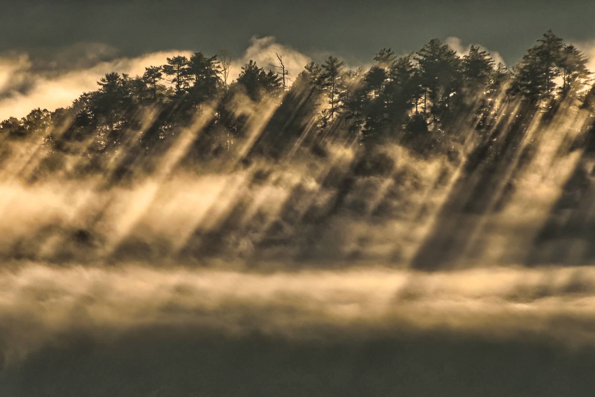 Great Smoky Mountains - 2020