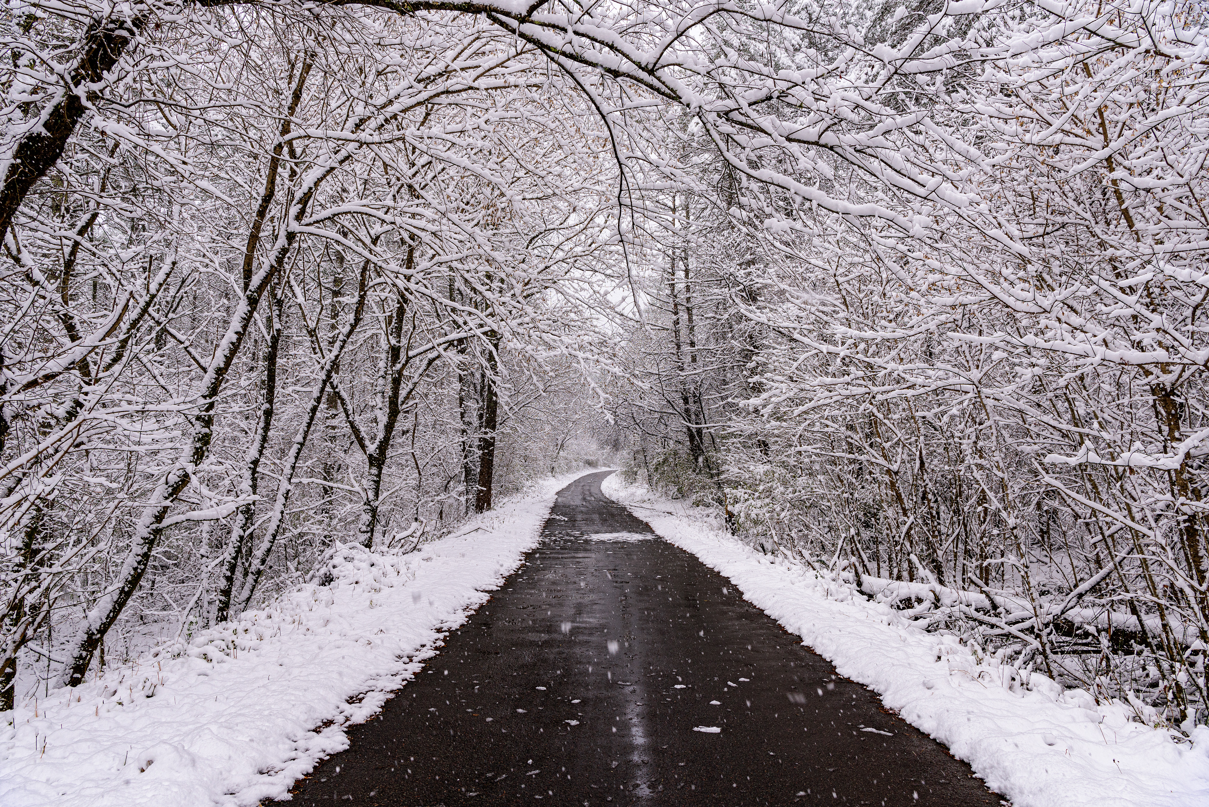 Sink Mountain Boat Launch Road, TN - 2020