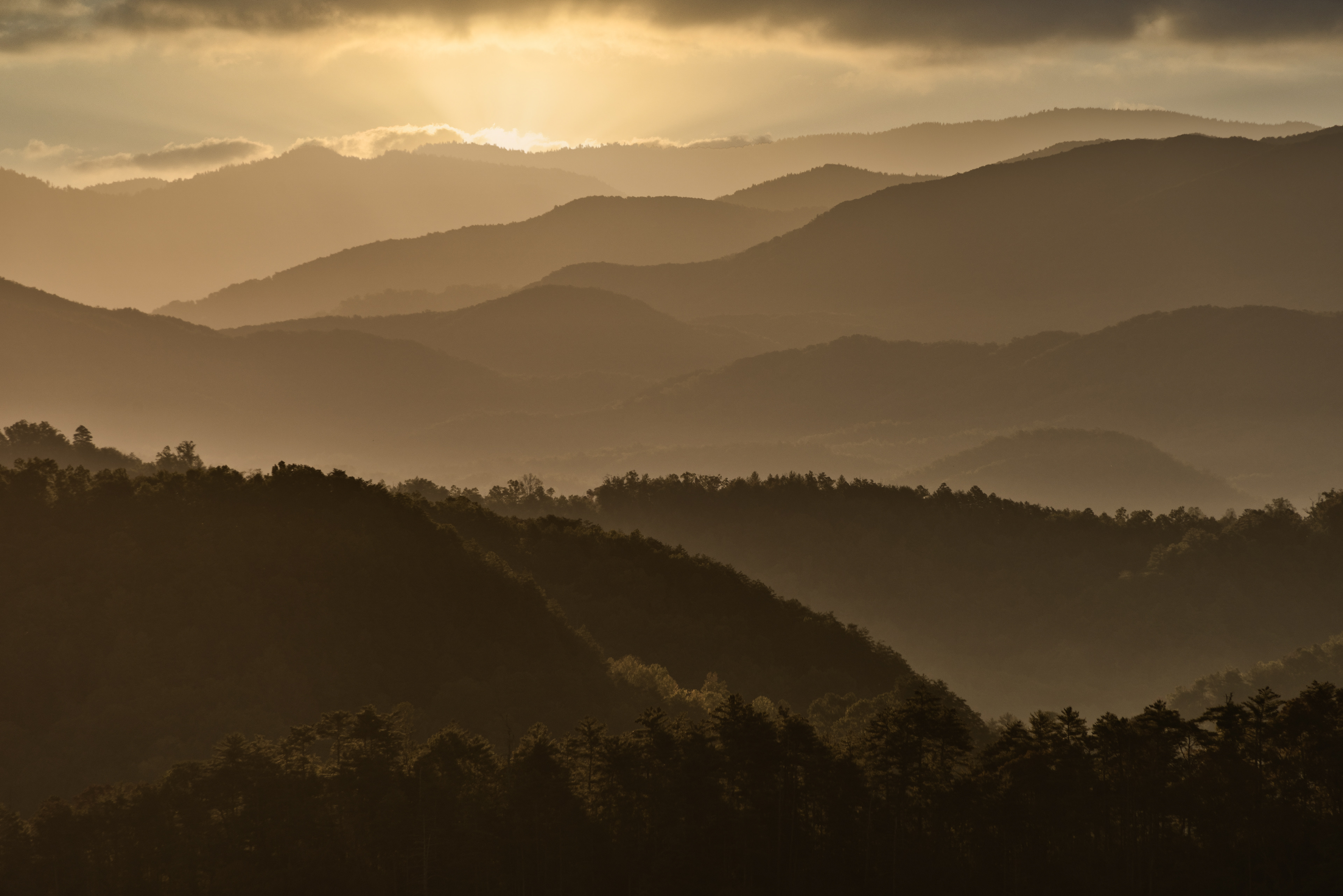 Great Smoky Mountains - 2019