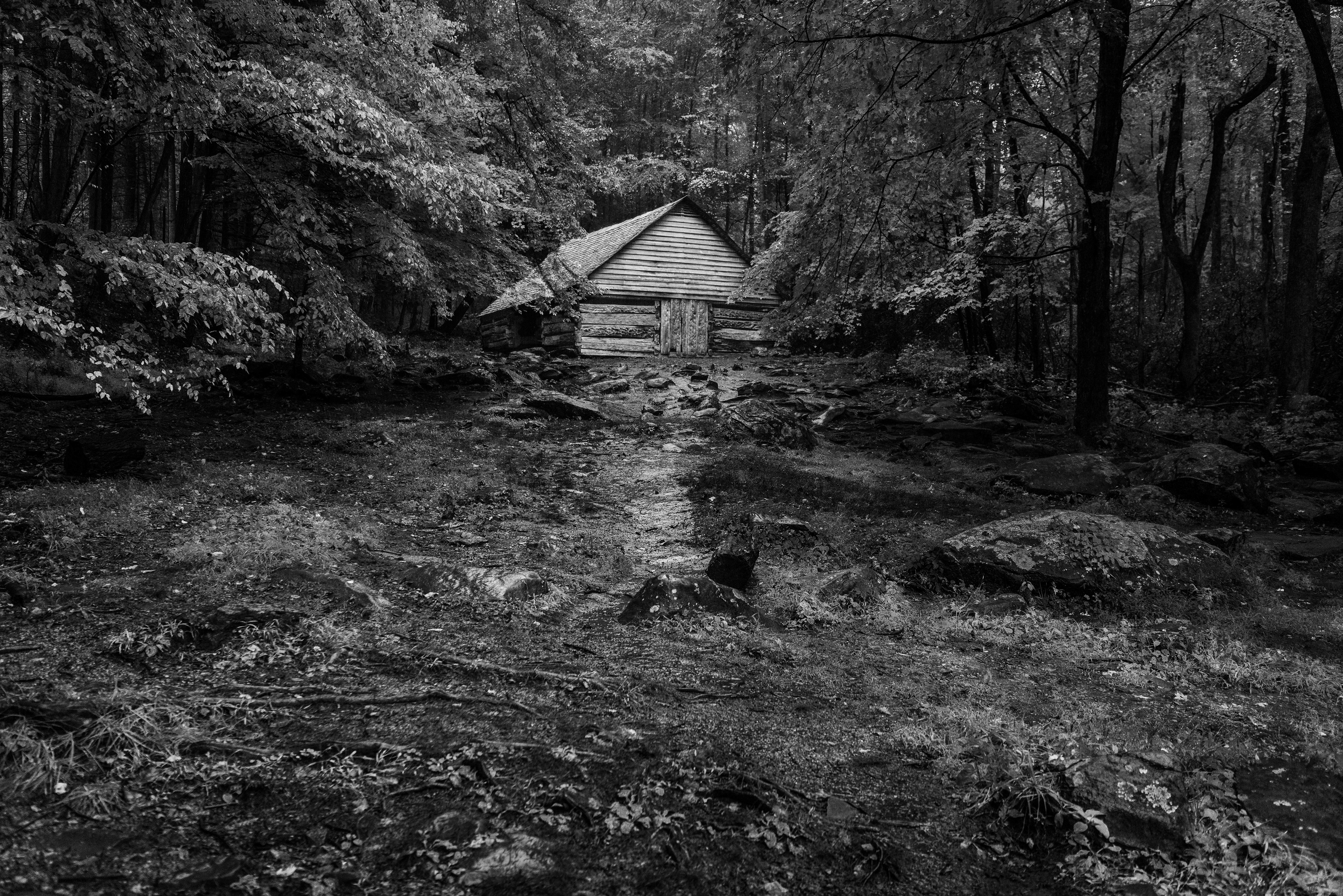 Great Smoky Mountains - 2019