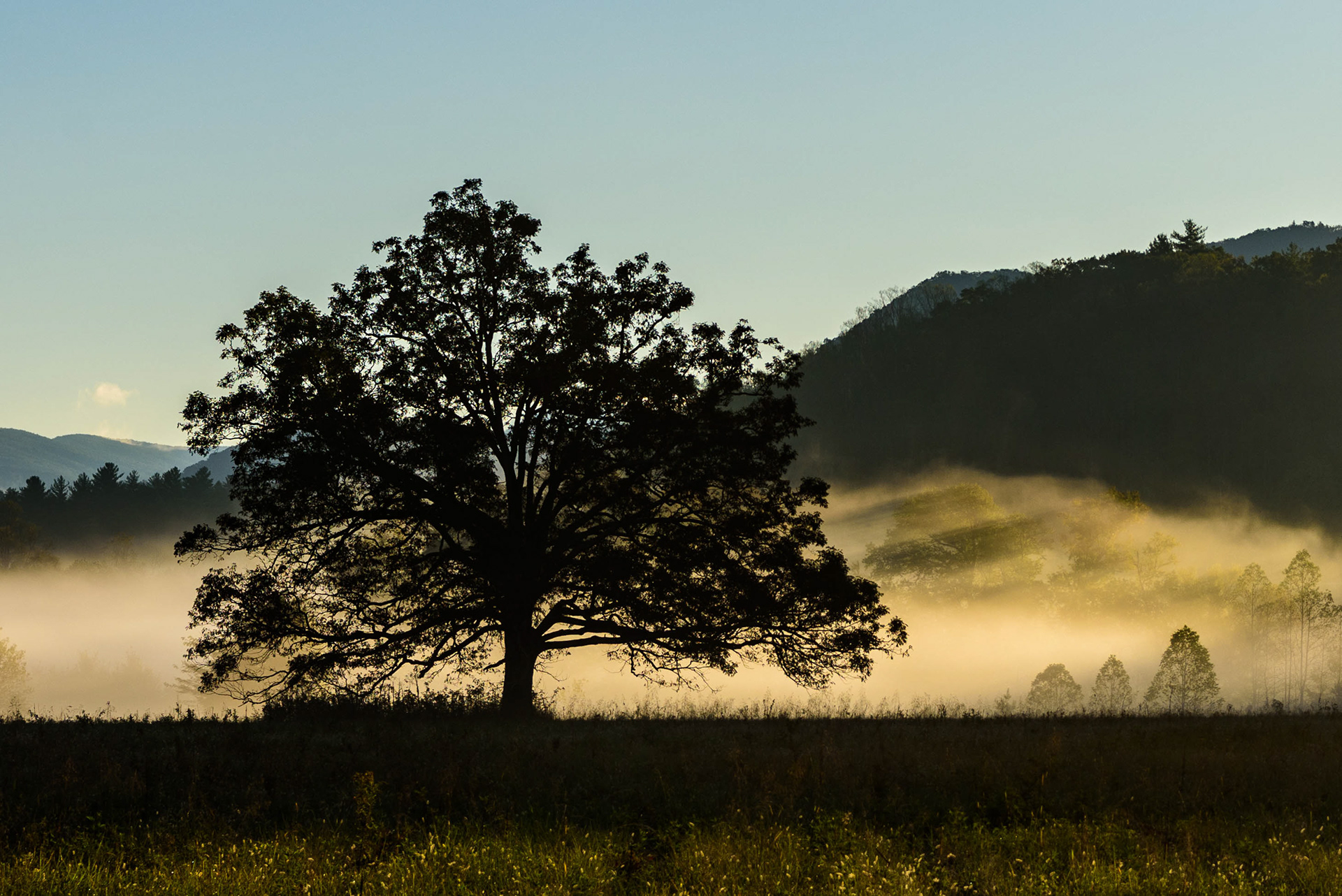 Cade's Cove - 2019