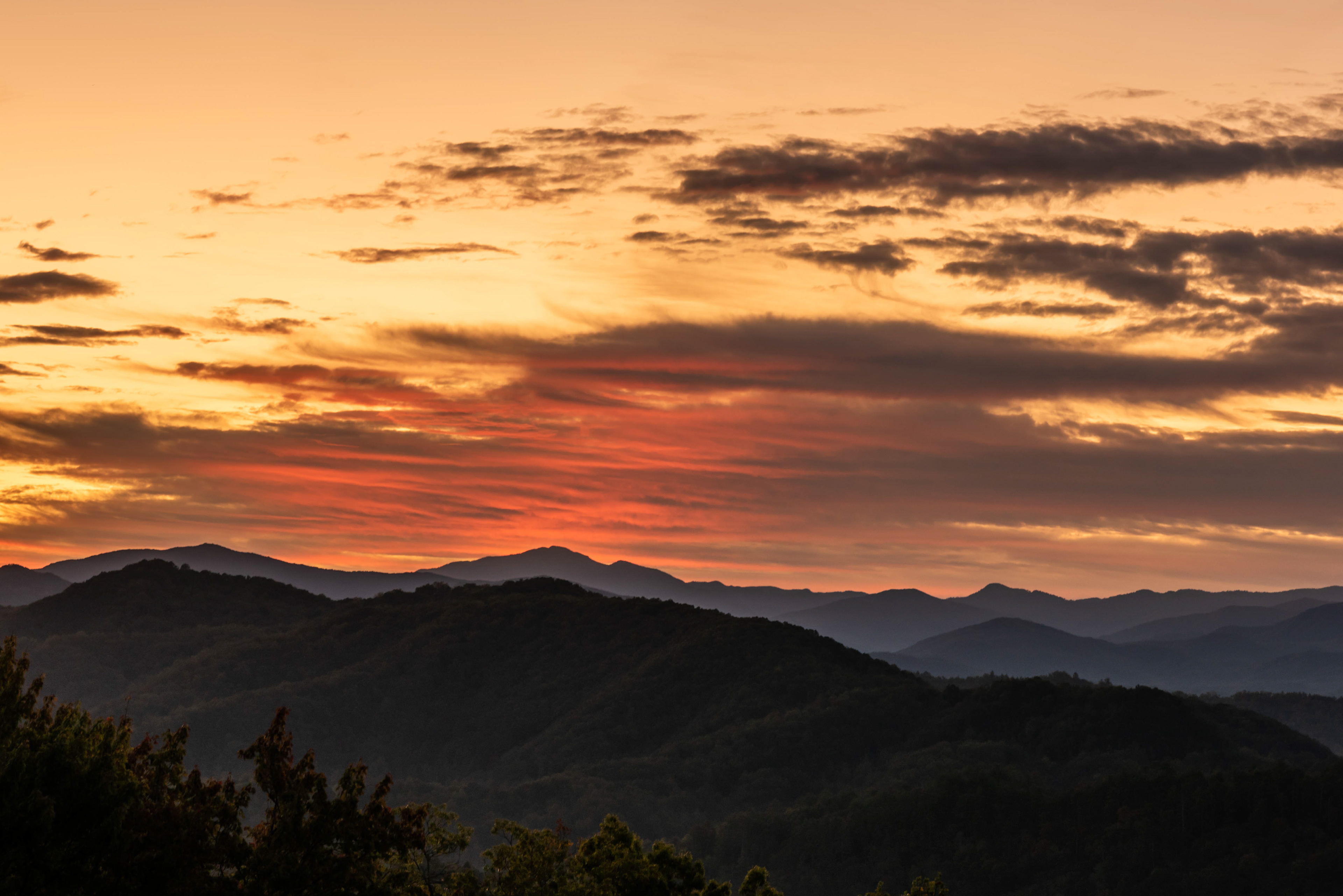 Great Smoky Mountains - 2019