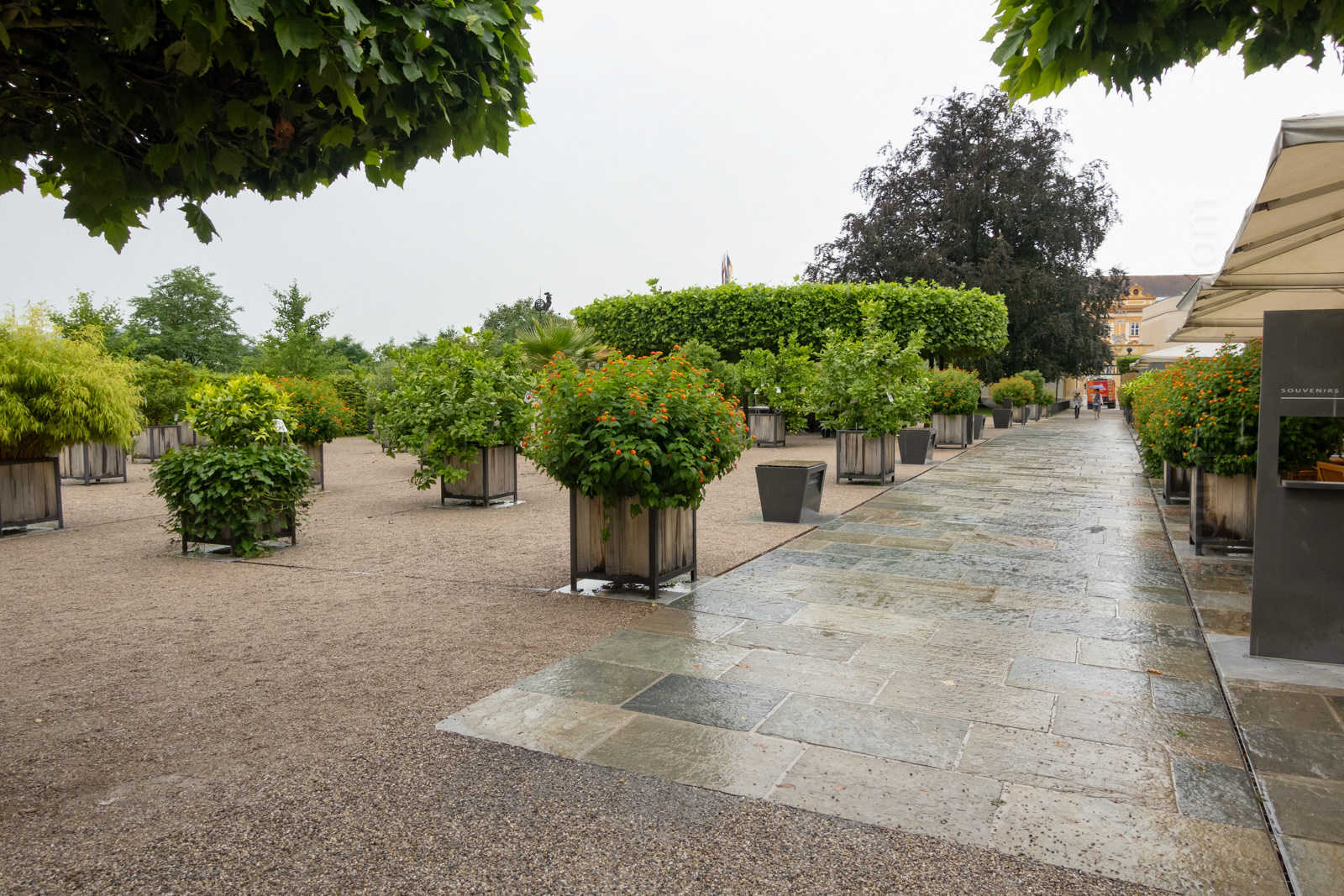 A pleasant garden area across from a nice café on the grounds.
