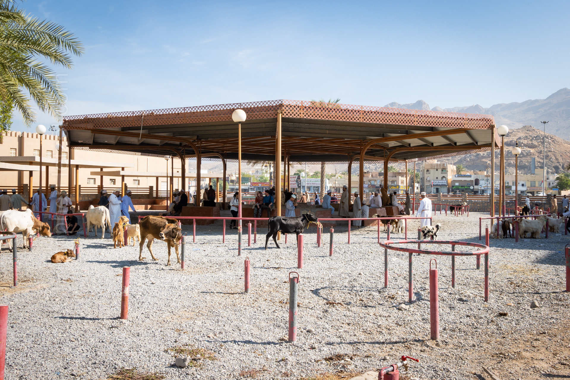 The animal market pavilion at the end of the event, after the crowds have dispersed.