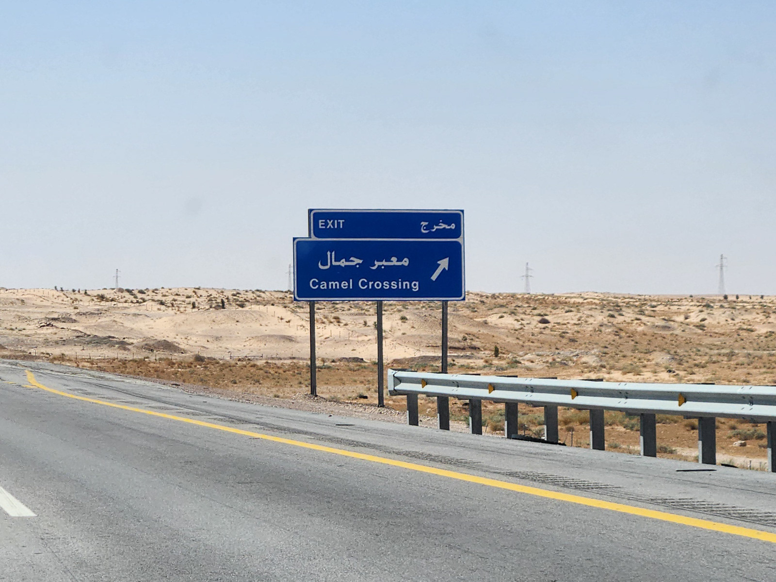 Camel crossing! We encountered several of these along our way.