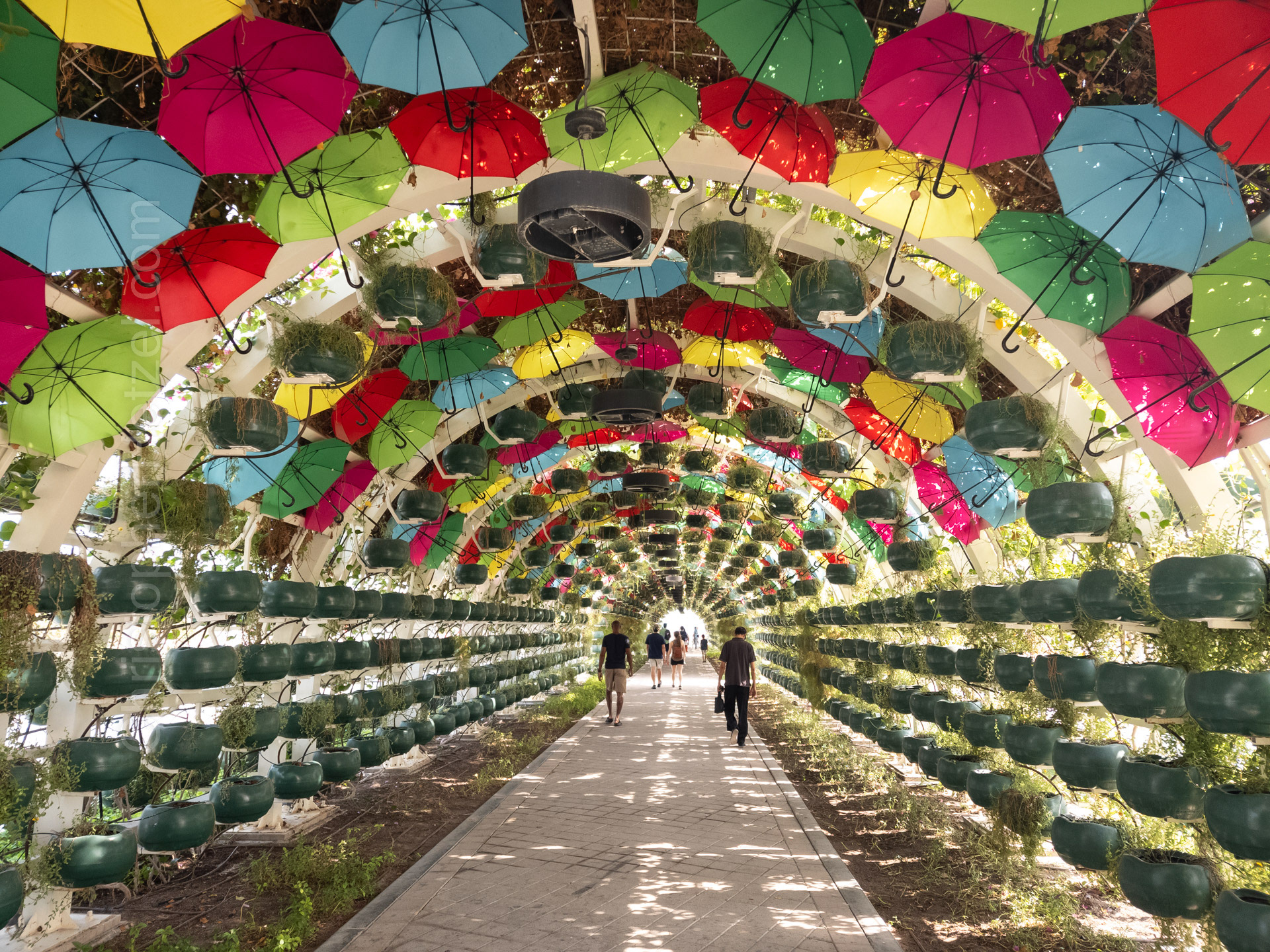 Be sure to see the night photo of this tunnel.