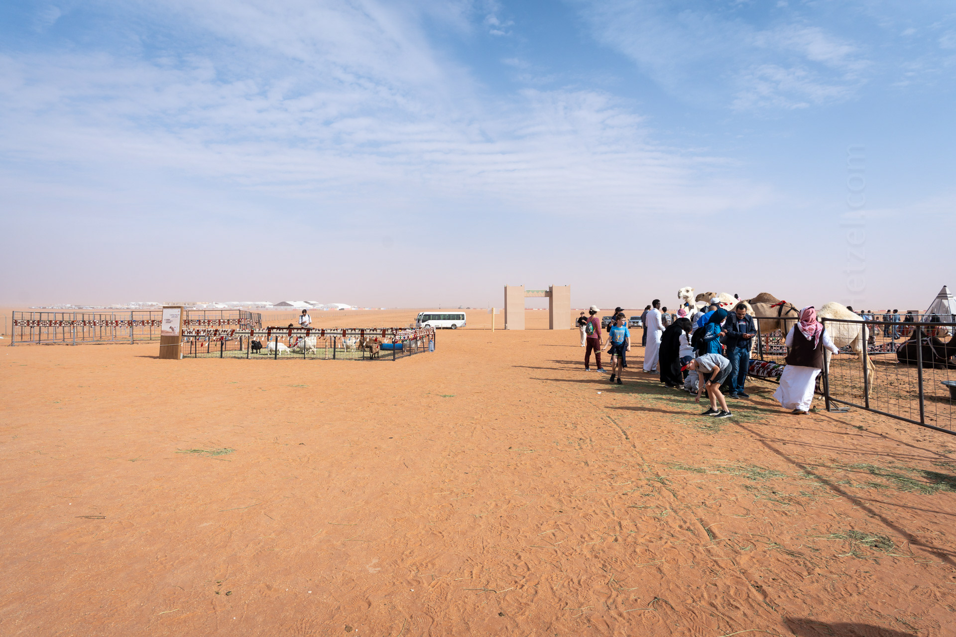 The structures in the distance are the location of the camel beauty pageant, which we had visited earlier.