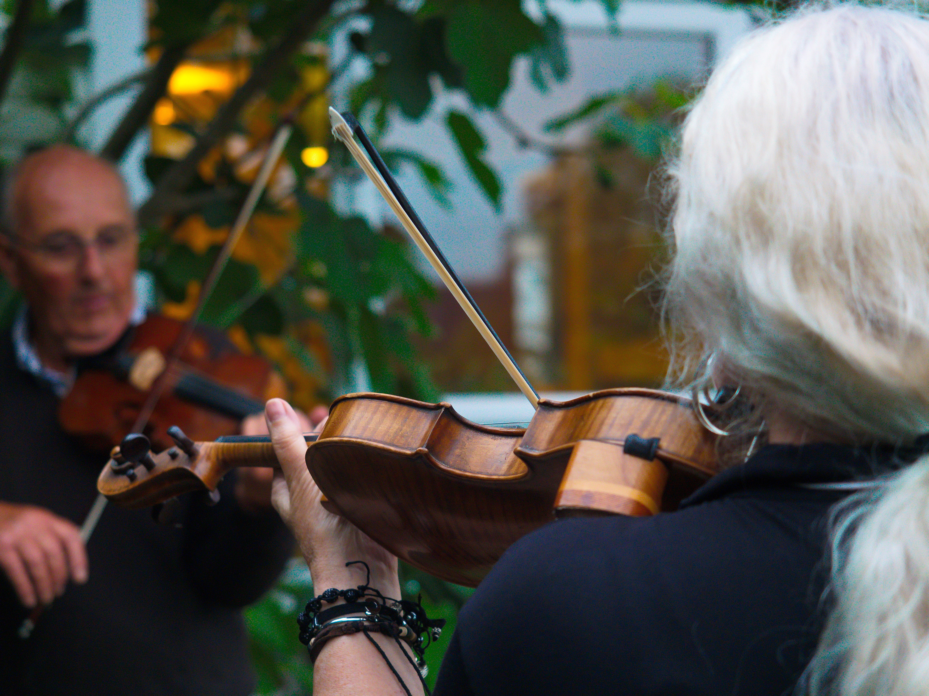 Fiddlers fiddling