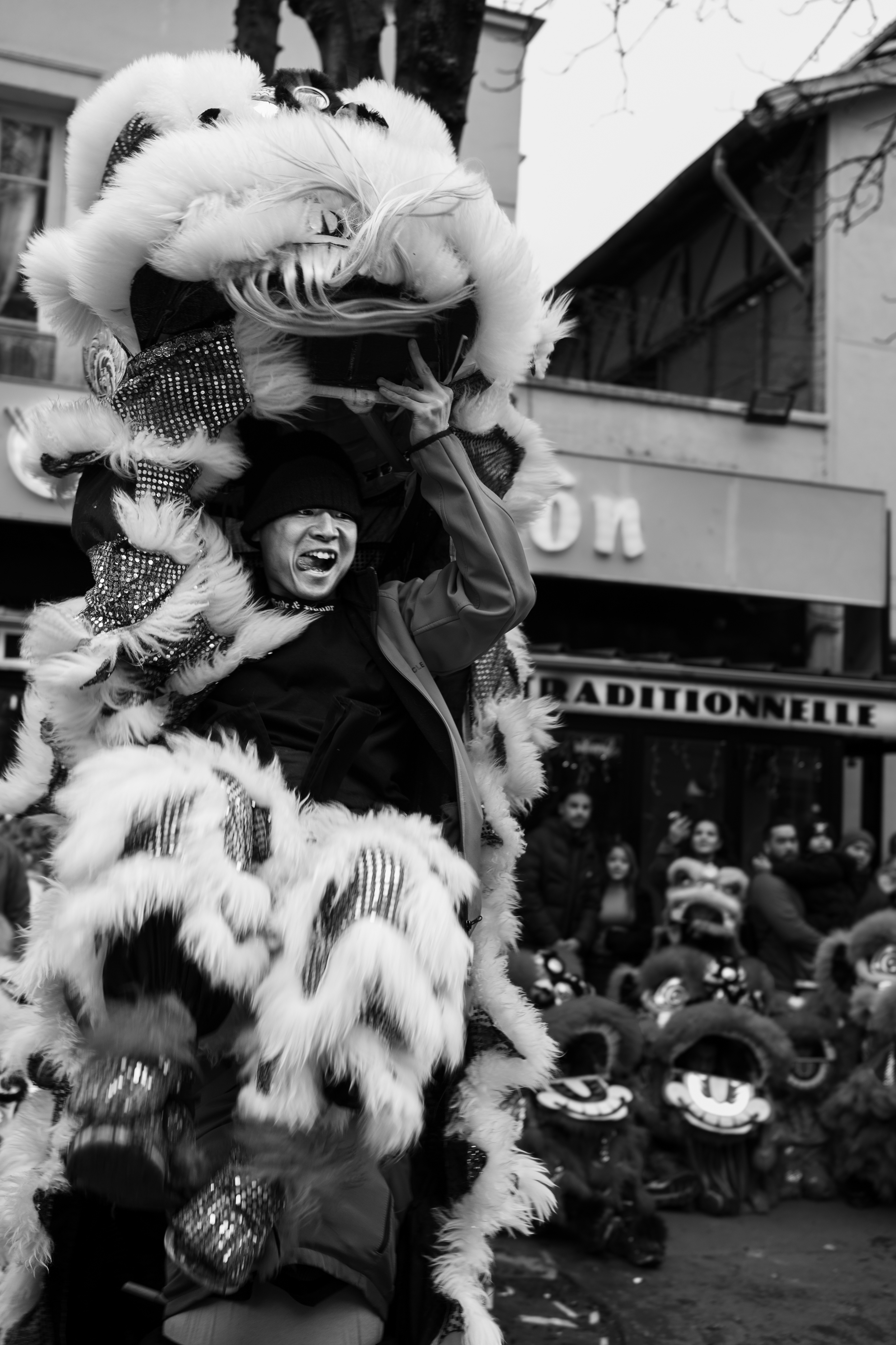 Chinese New Year, Paris, France 02/09/2025