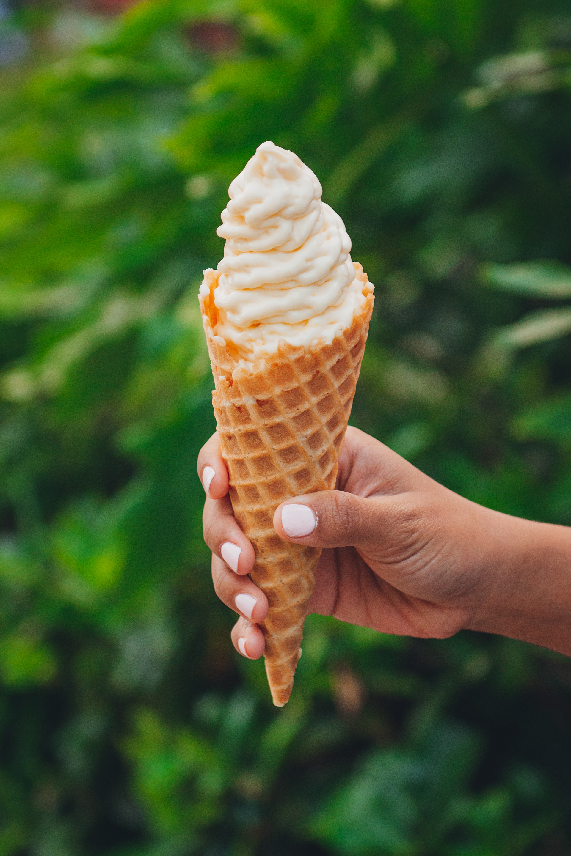 Ice Cream Brand