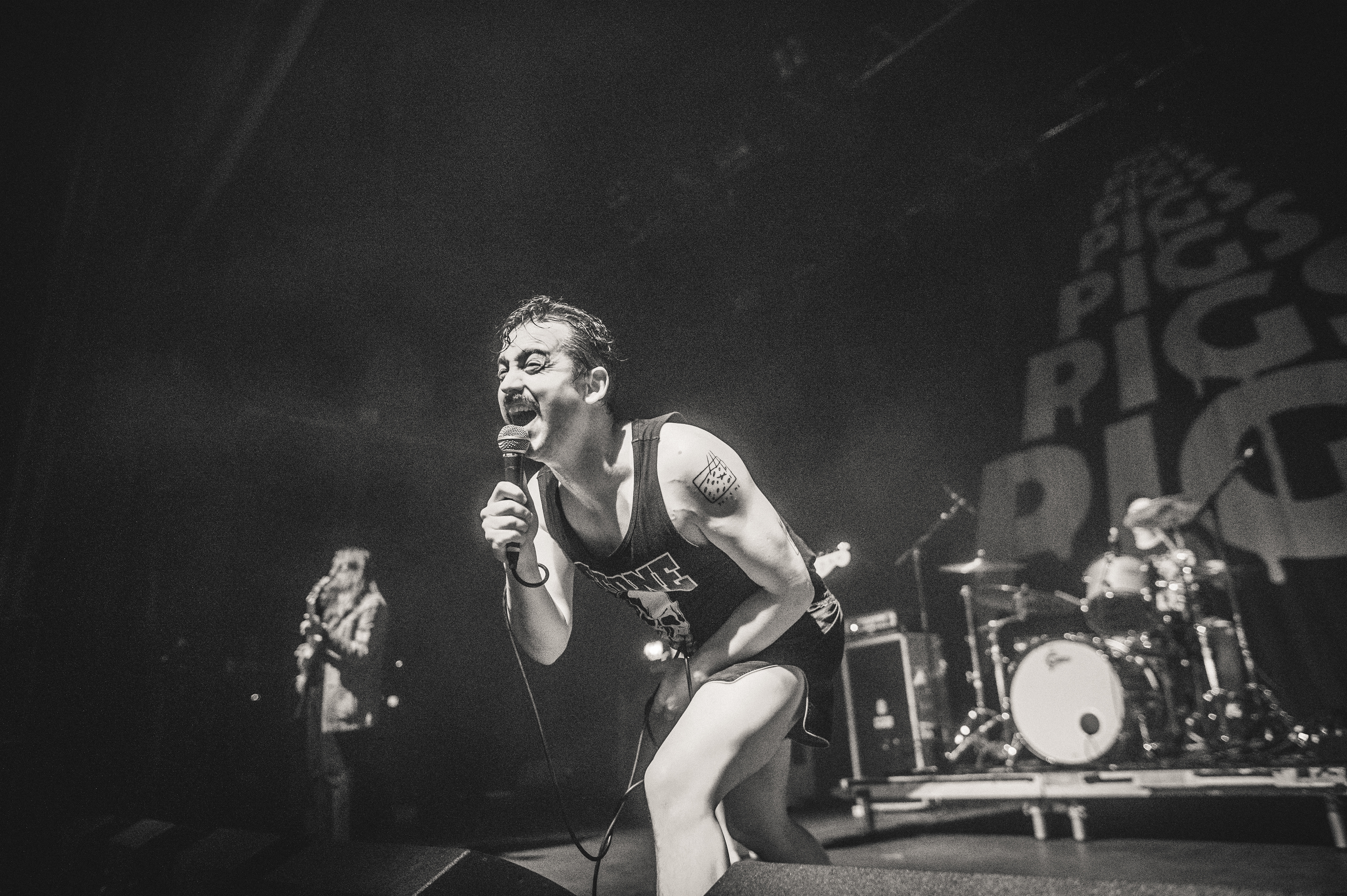 Pigs Pigs Pigs Pigs Pigs Pigs Pigs