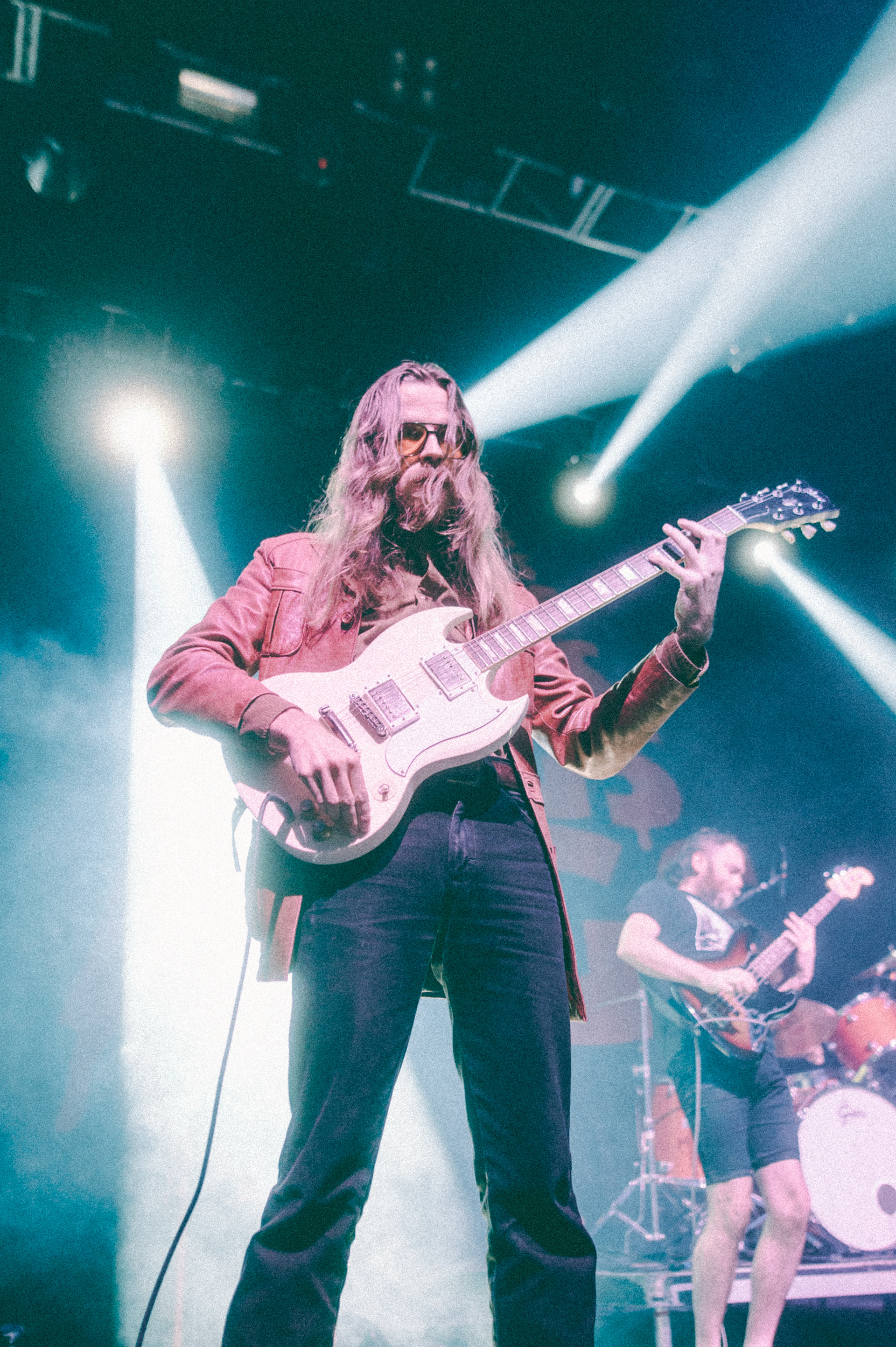 Pigs Pigs Pigs Pigs Pigs Pigs Pigs