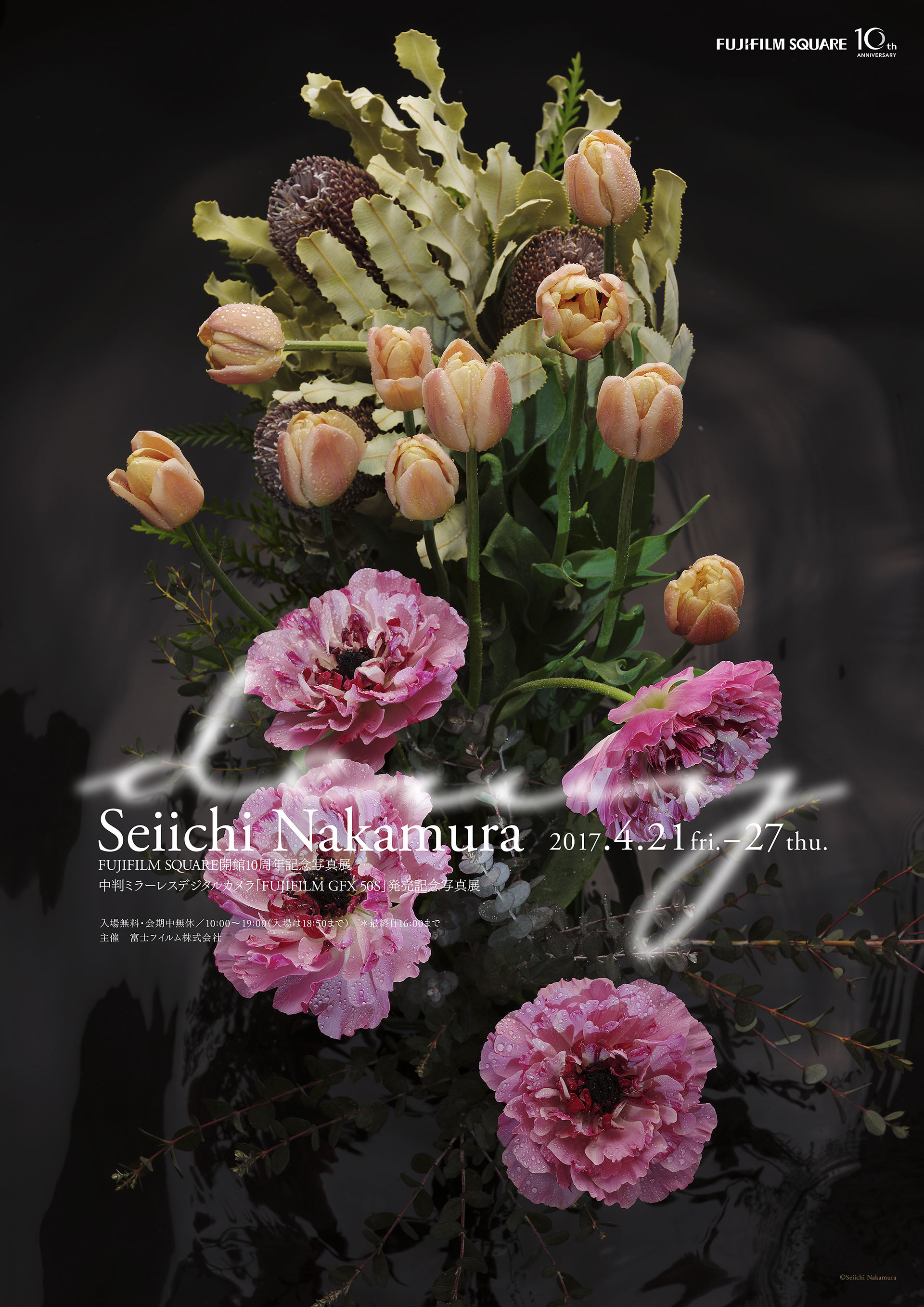 Seiichi NAKAMURA Photo Exhibition “dewy”