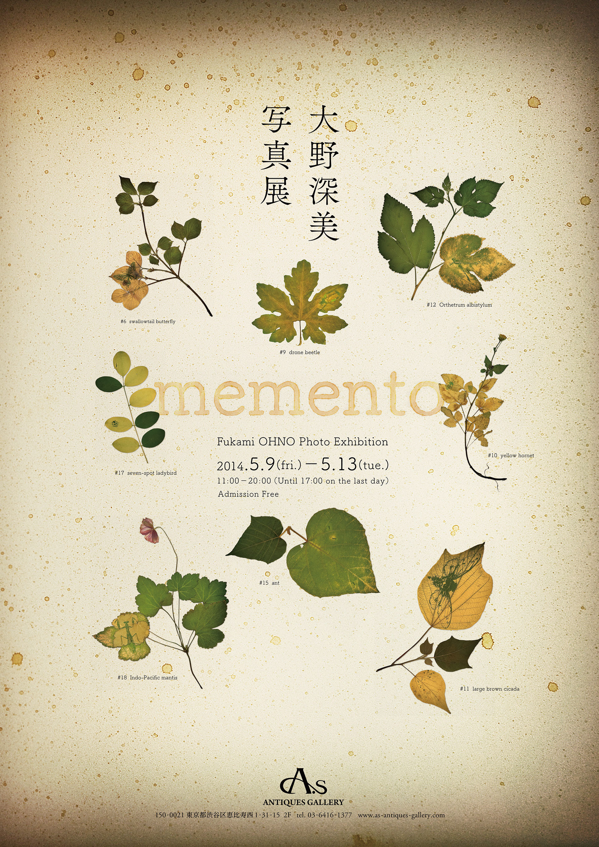 Fukami OHNO Photo Exhibition "mement" Poster, 大野深美