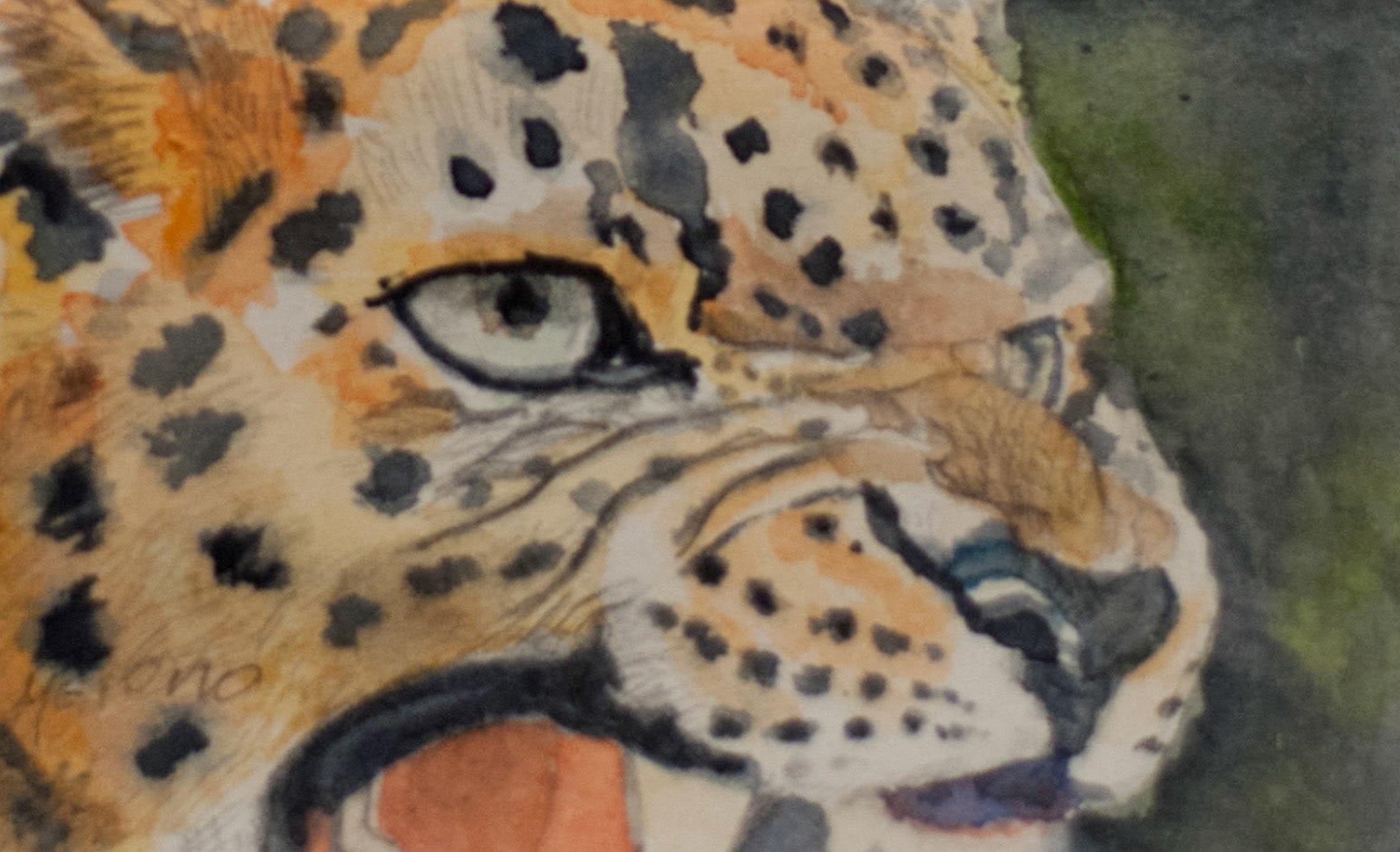 Jaguar | Watercolor