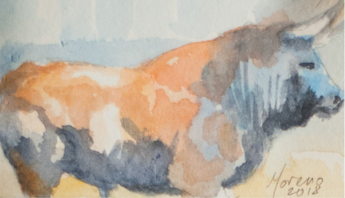 Toro | Watercolor
