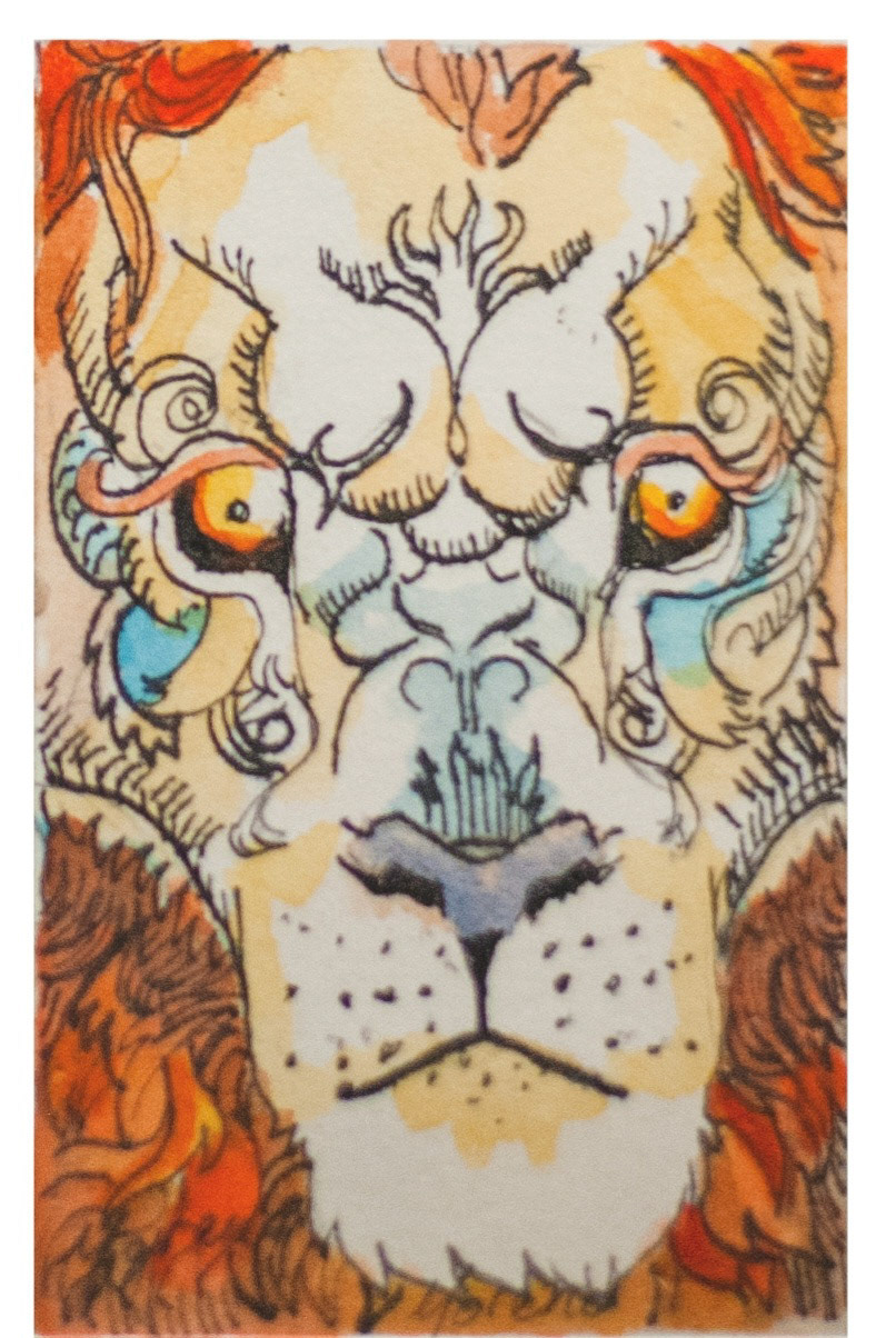 León | Pencil and watercolor