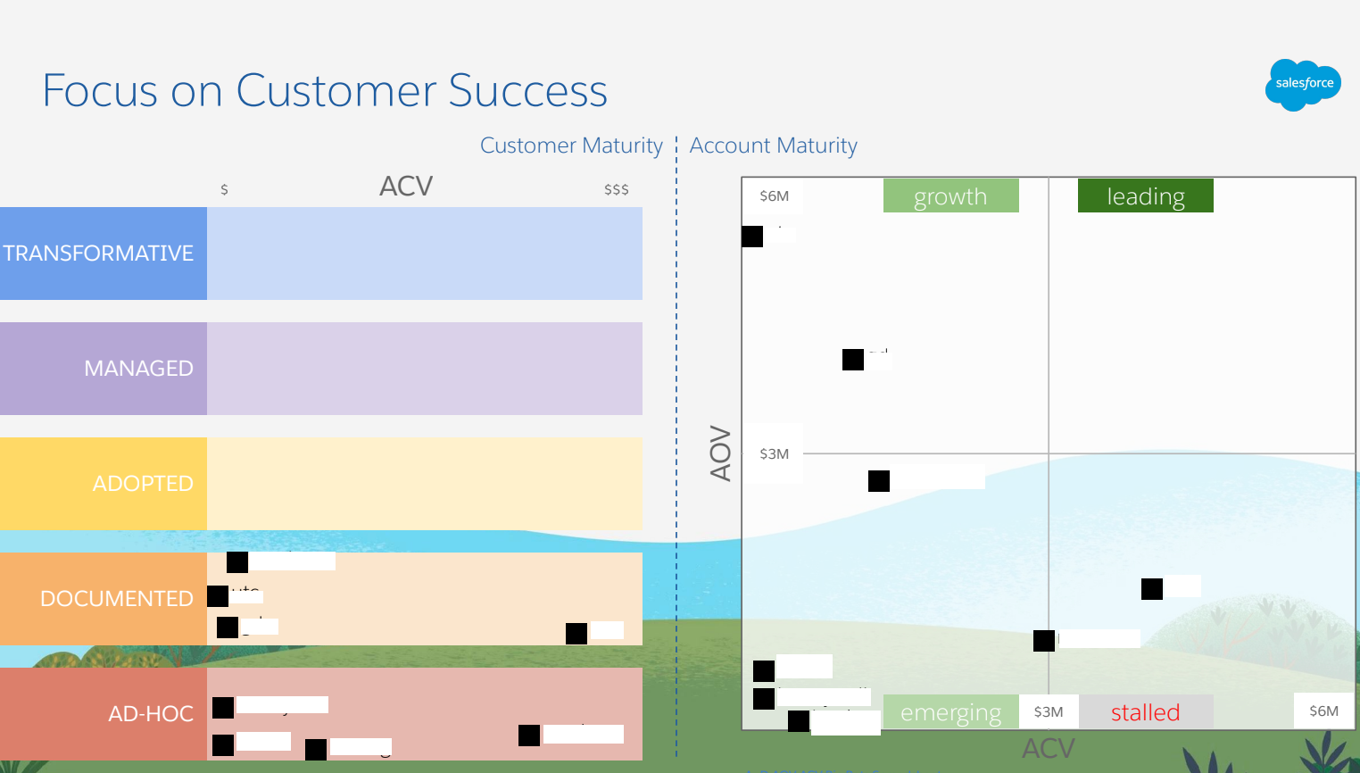 Customer technology maturity view