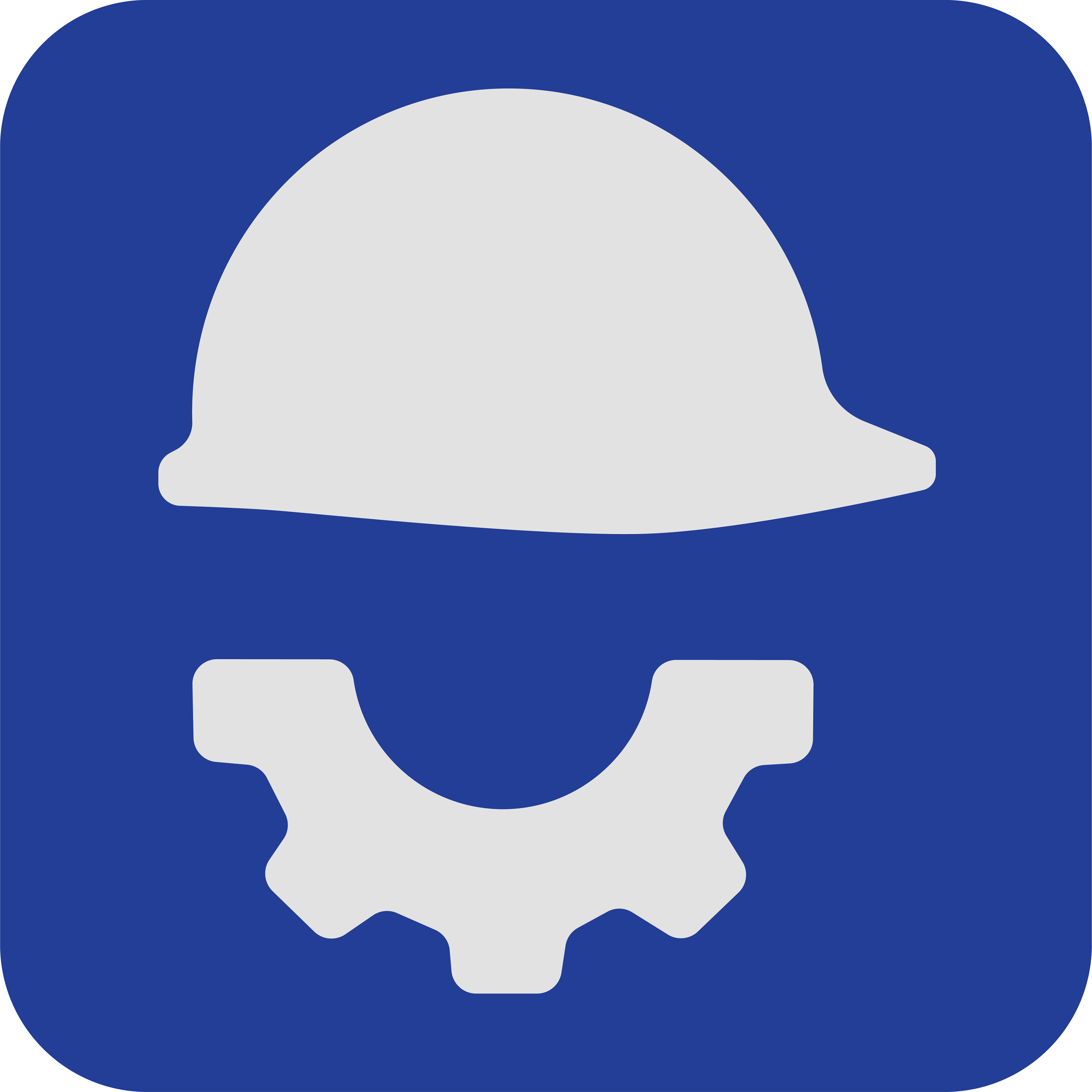 BluPro app icon