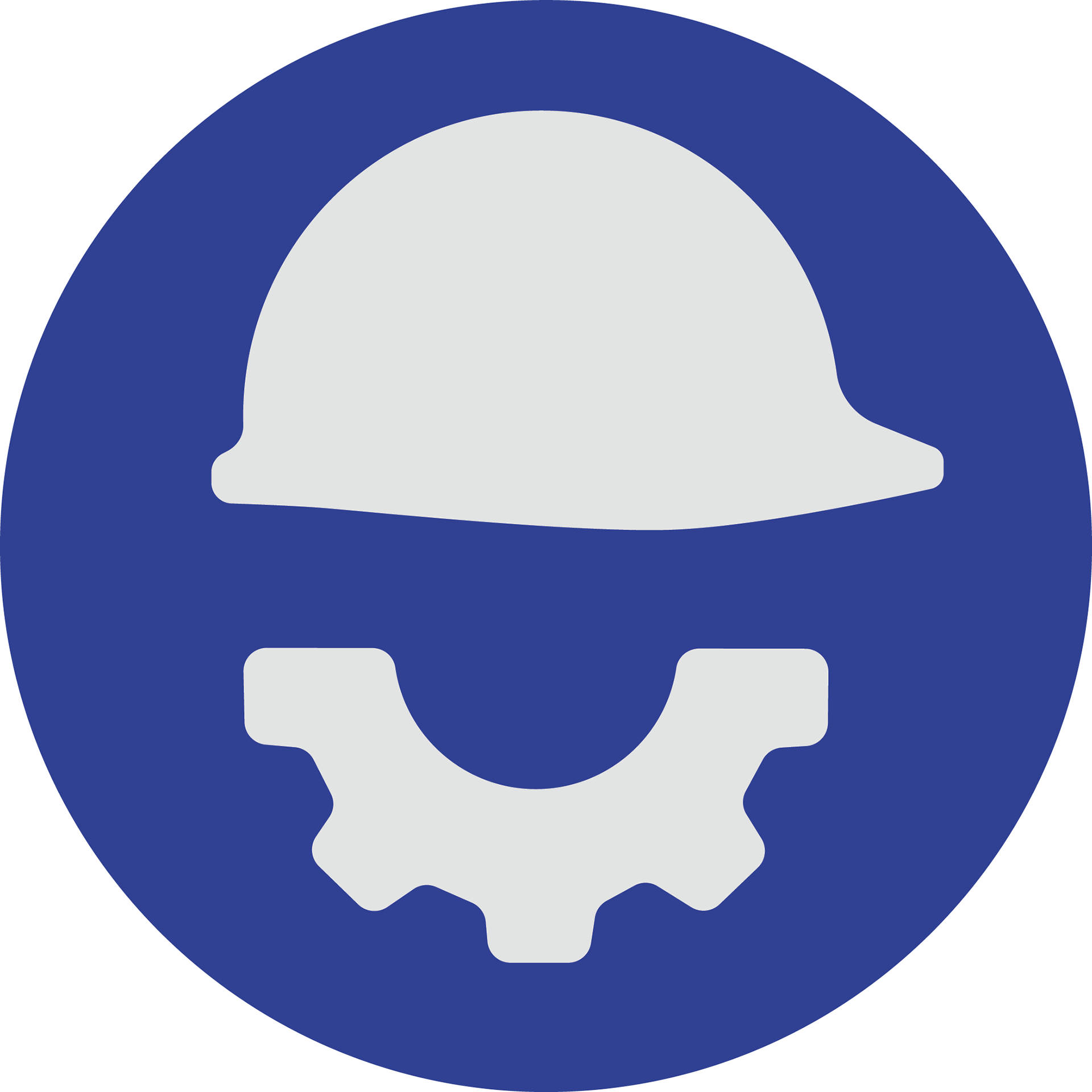 BluPro Favicon