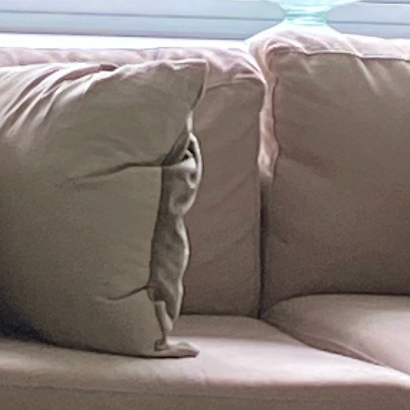 There is a face in the pillow and it freaking me out