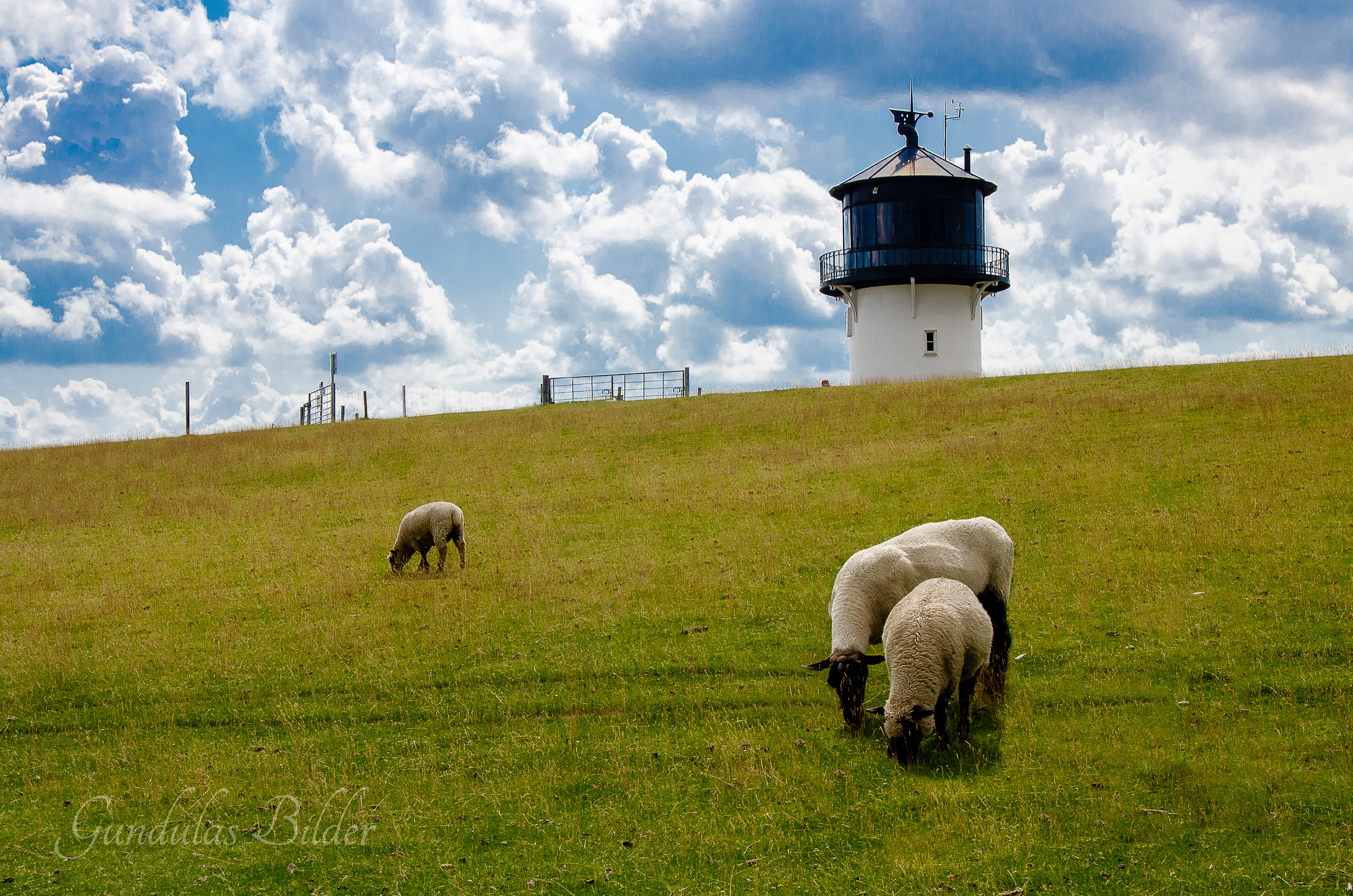 An der "Dicken Berta" in Alenbruch 2019087-0308