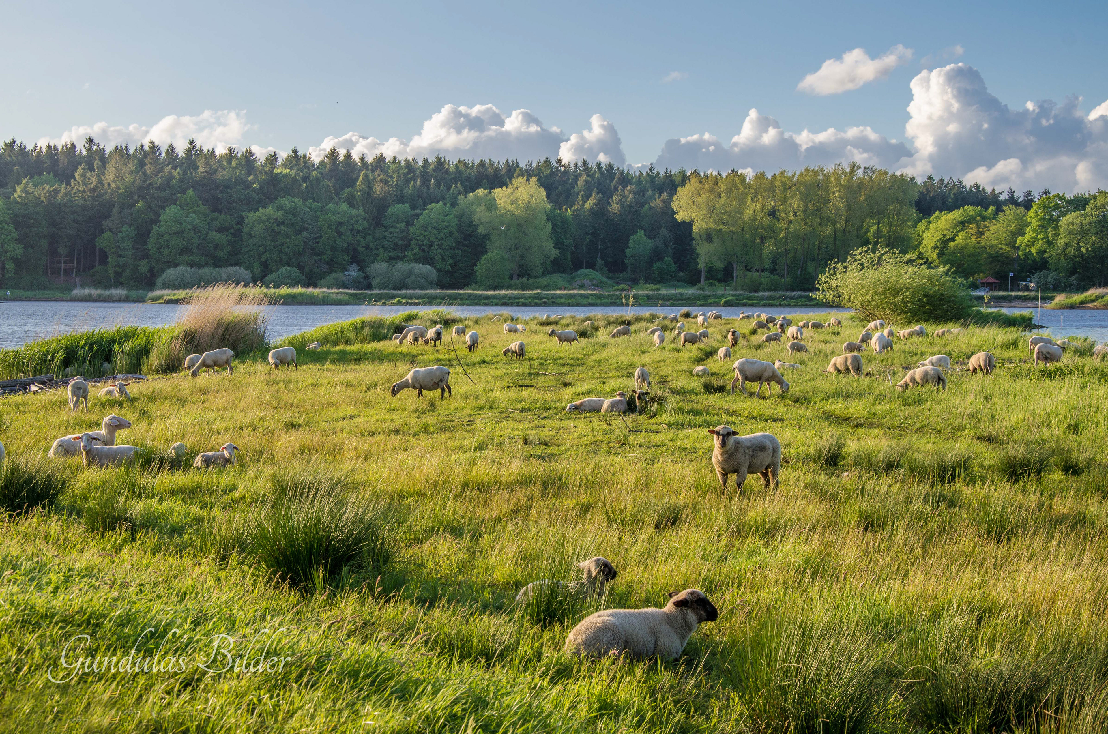 Pütte Kranenburg 20150530-2481