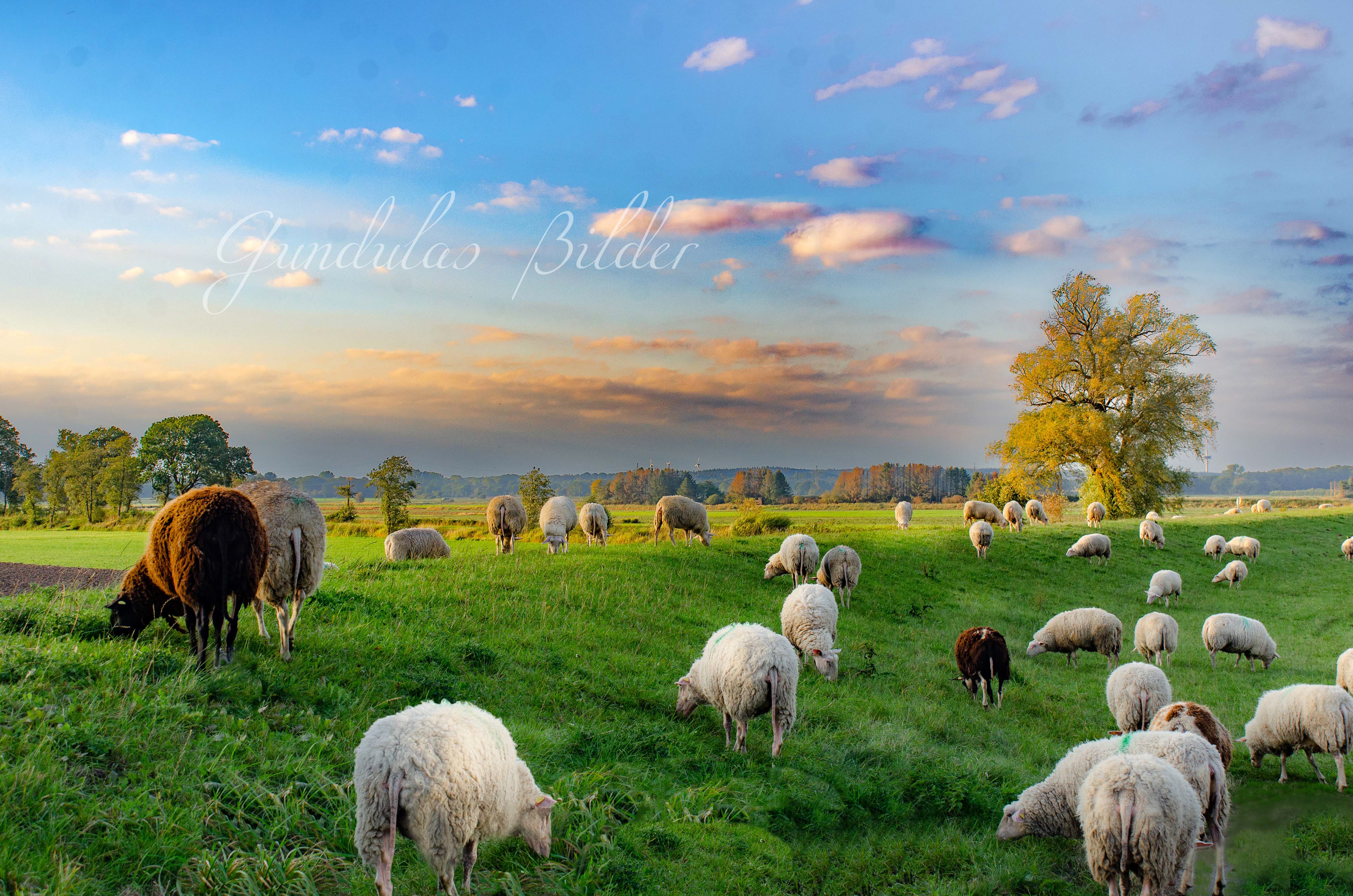 An  der Oste in Brobergen20221005-3759a