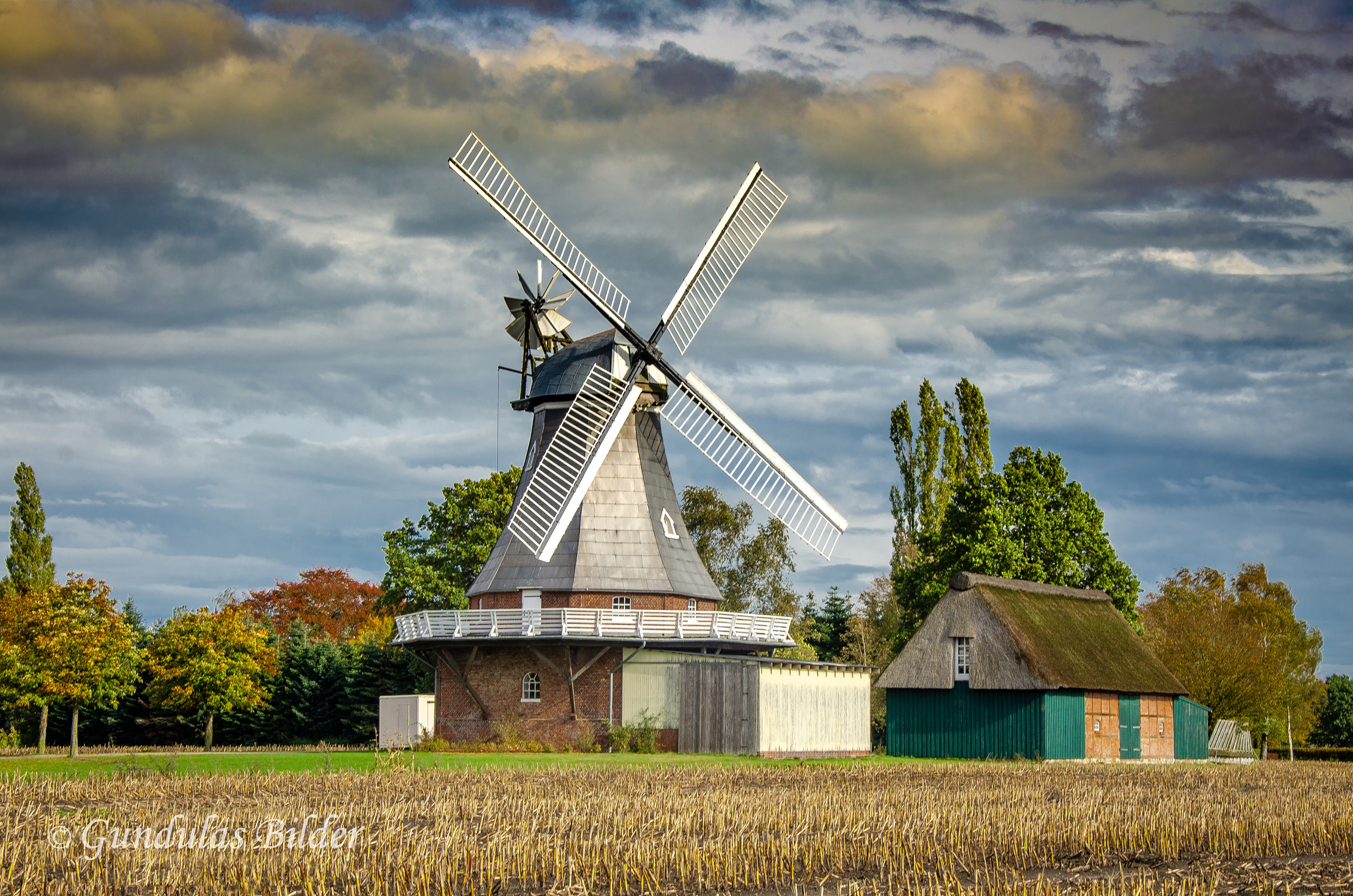 Galerieholländer "Amanda" in Grefenmoor