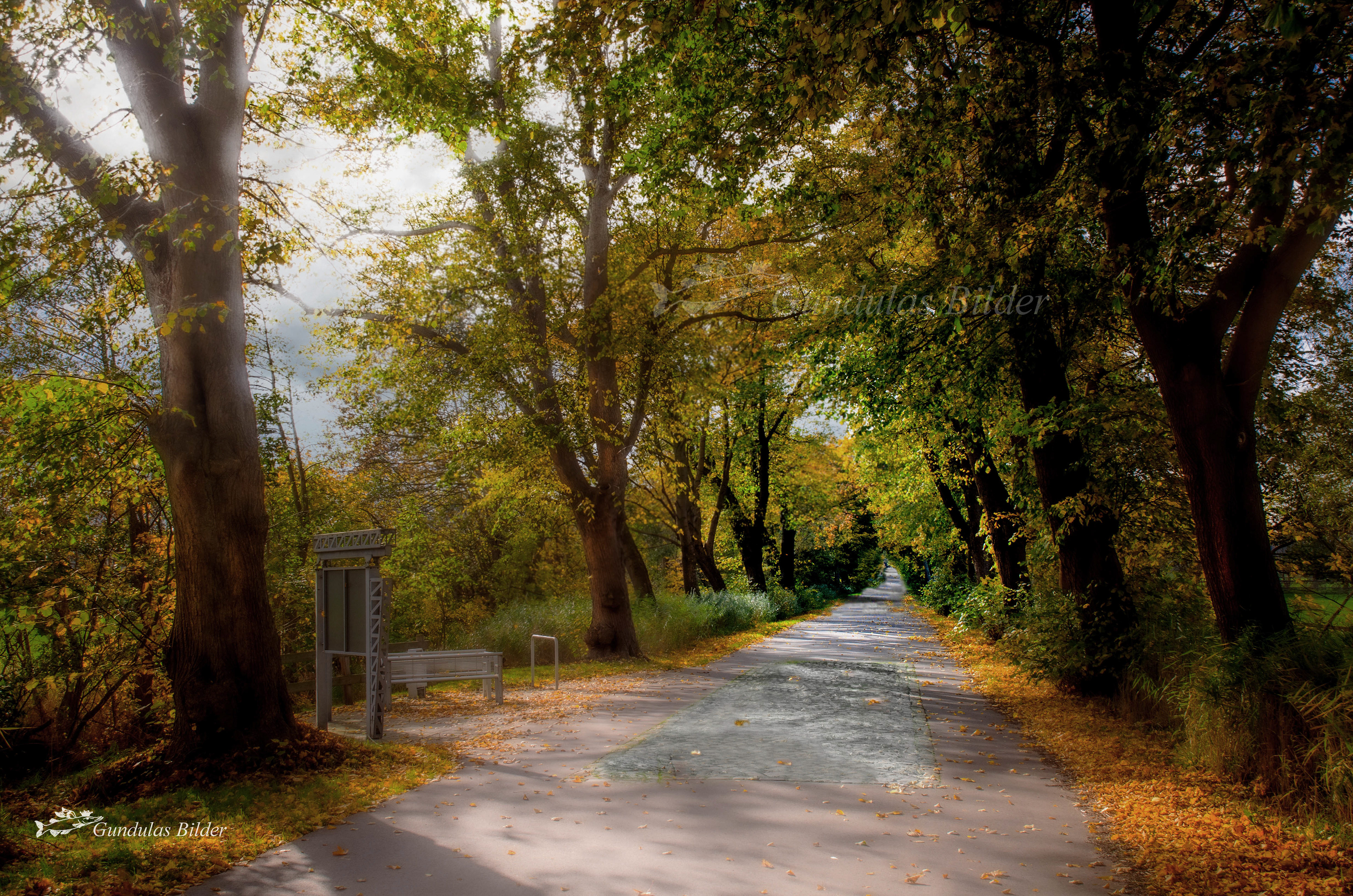 Fährstraße in Hemmoor 20201027-8468a