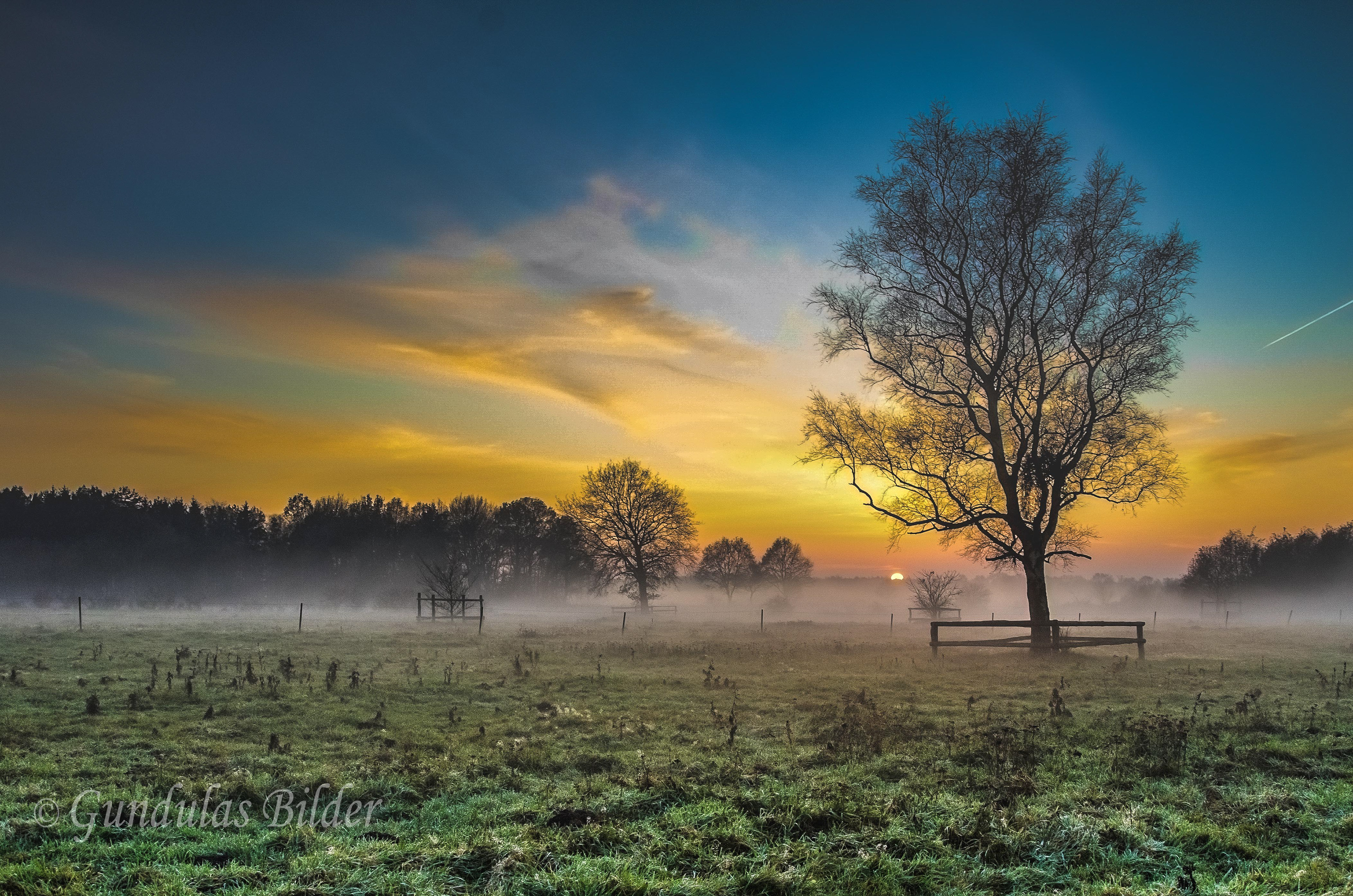 20111120-8333