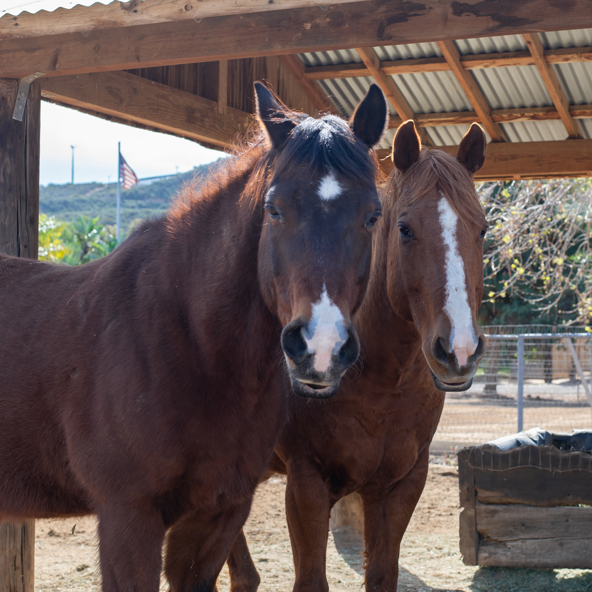 Suncoast Farms