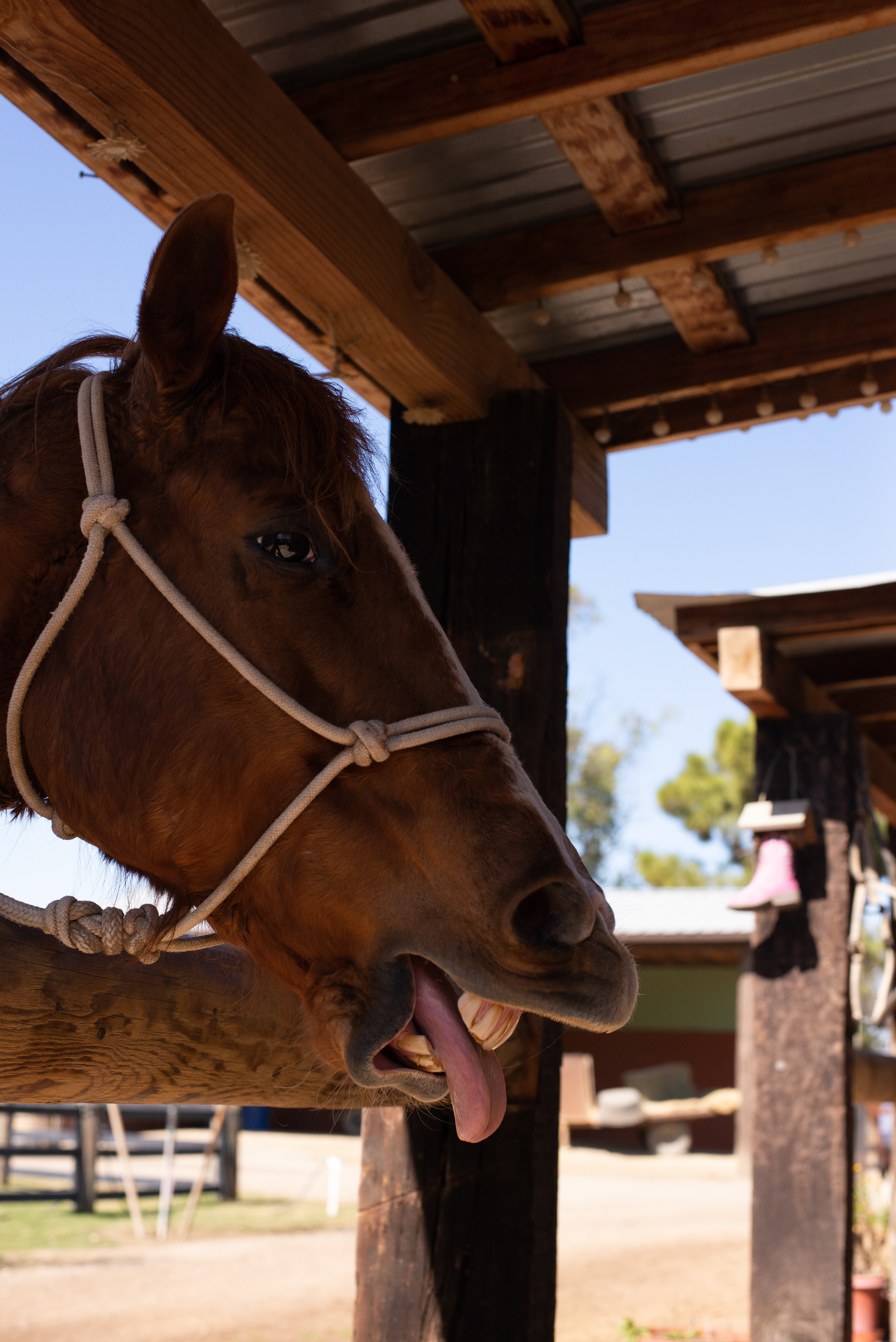 Suncoast Farms