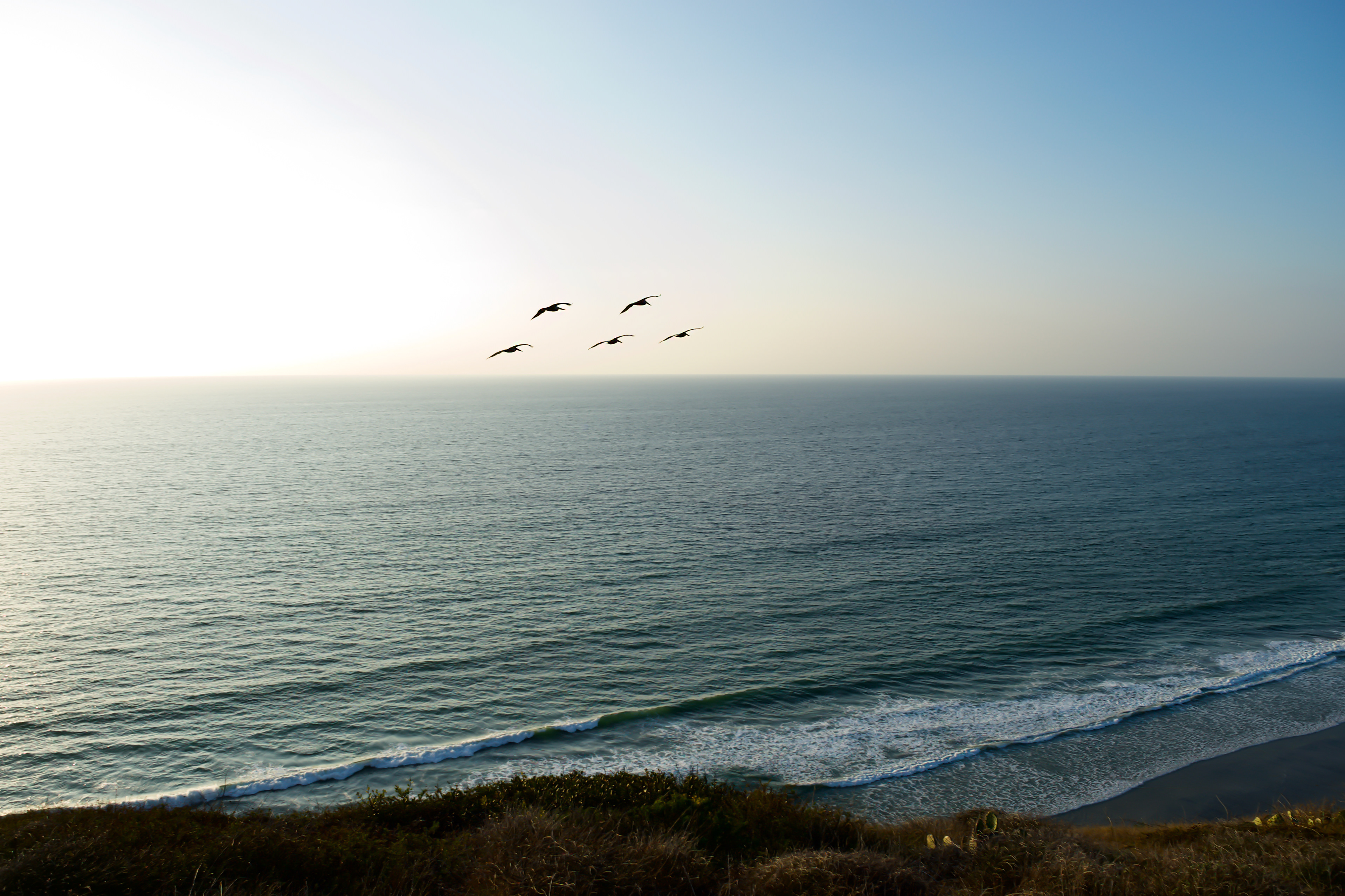 Torrey Pines