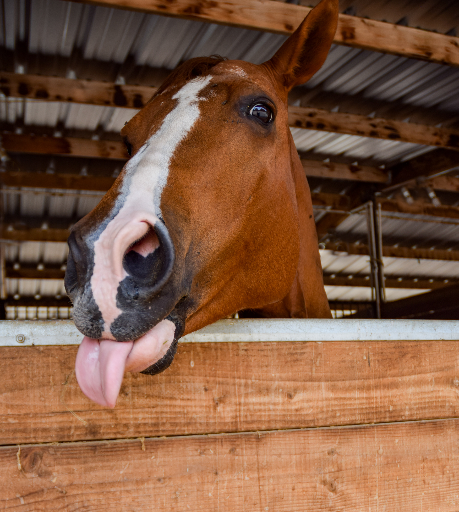 Suncoast Farms