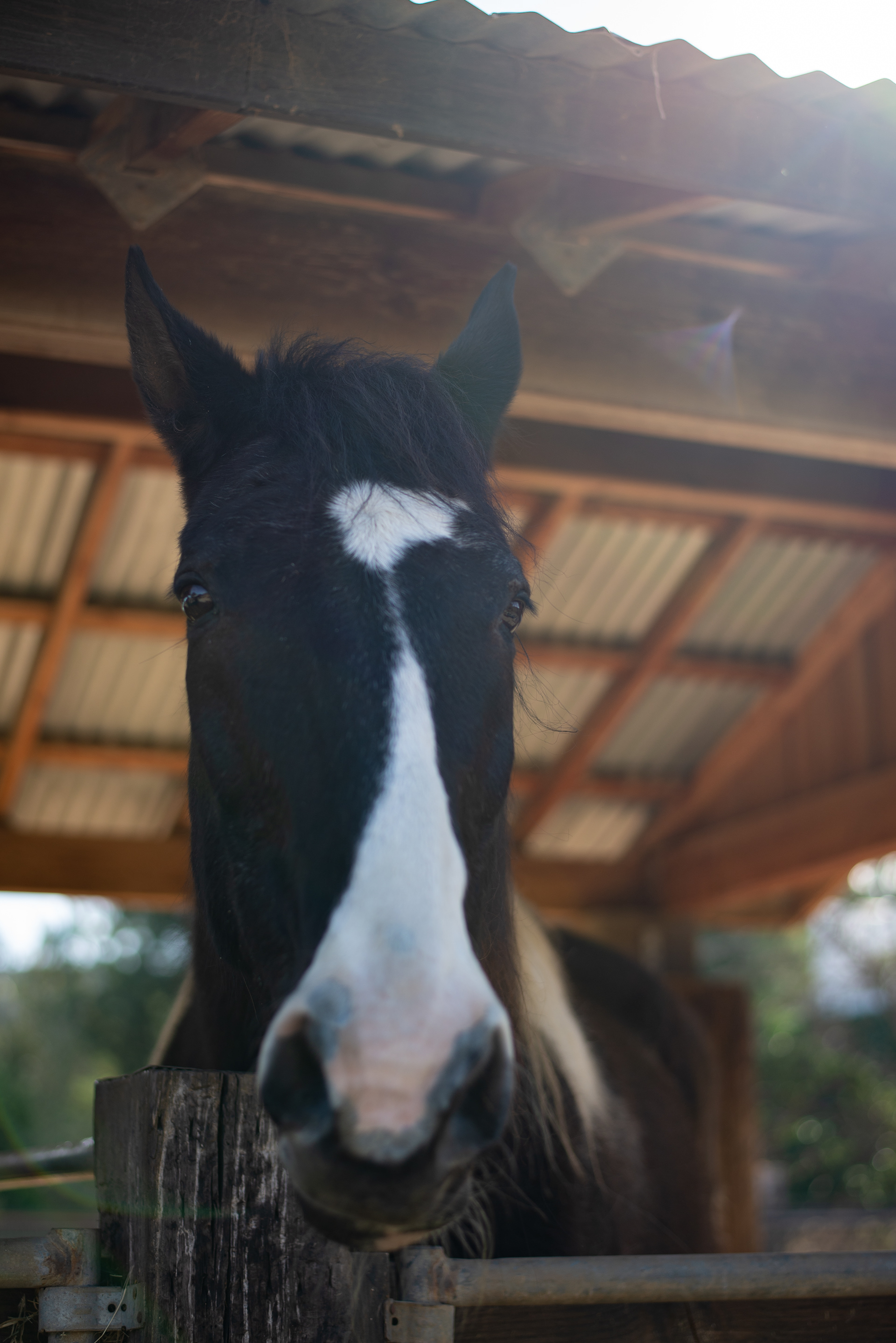 Suncoast Farms