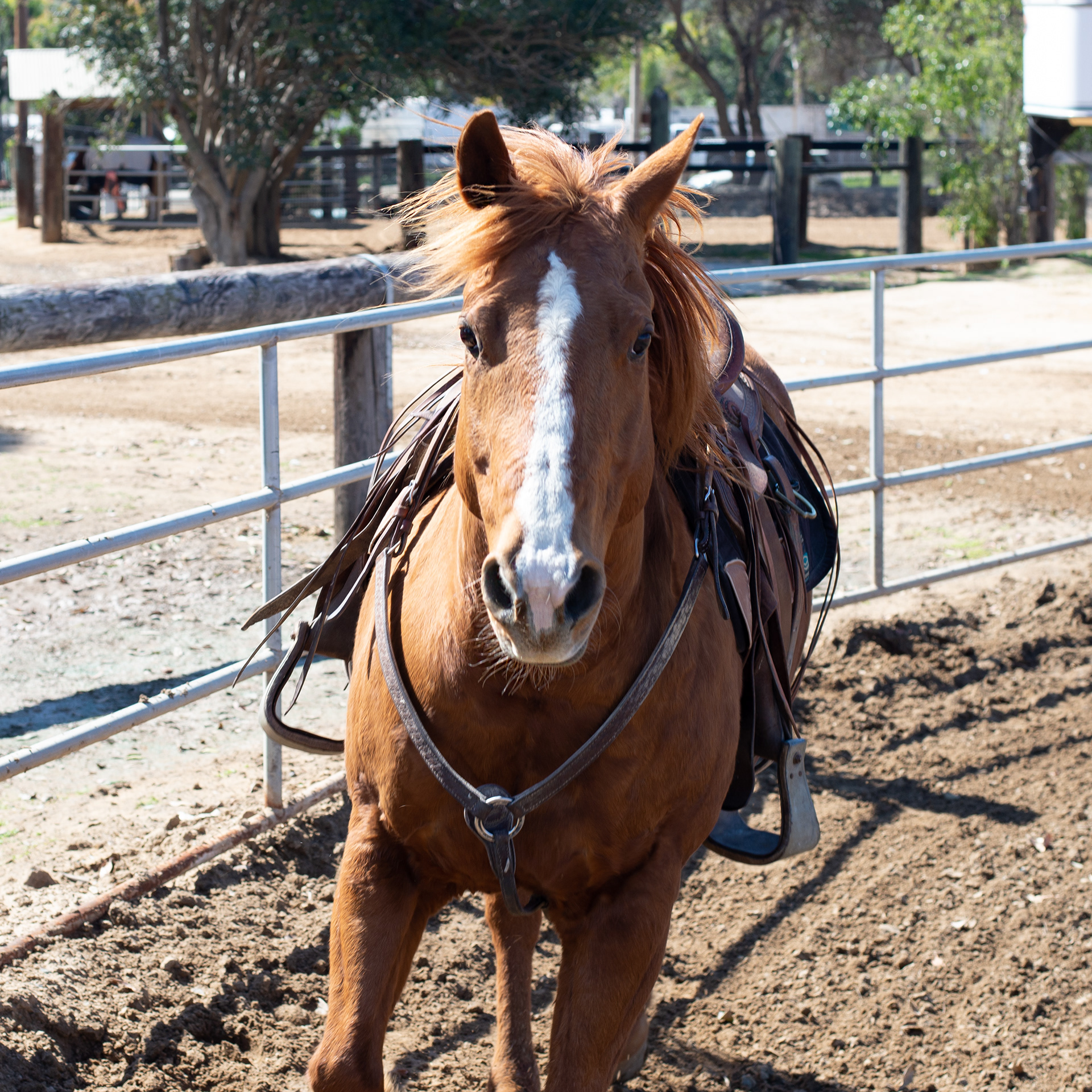 Suncoast Farms